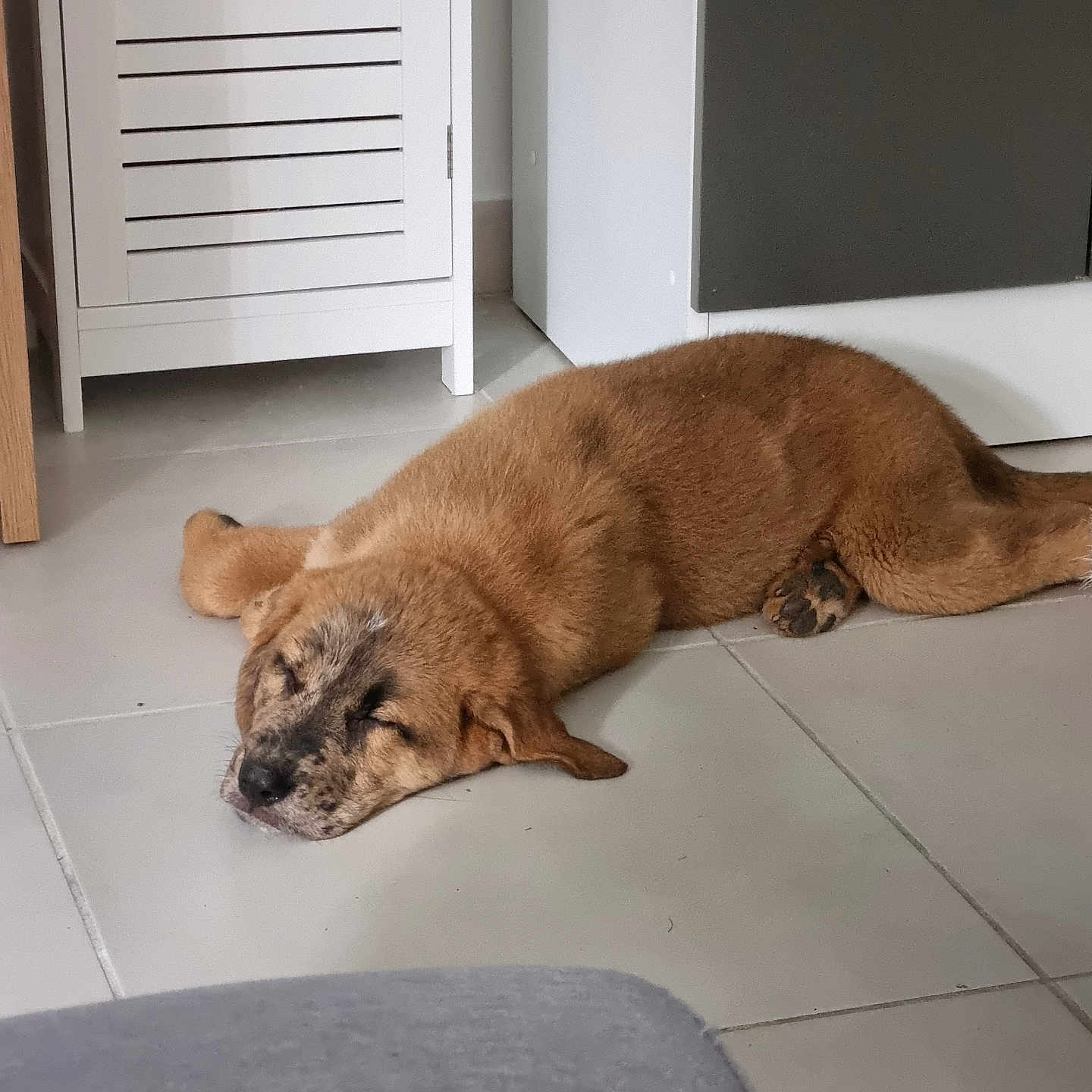 Zeus