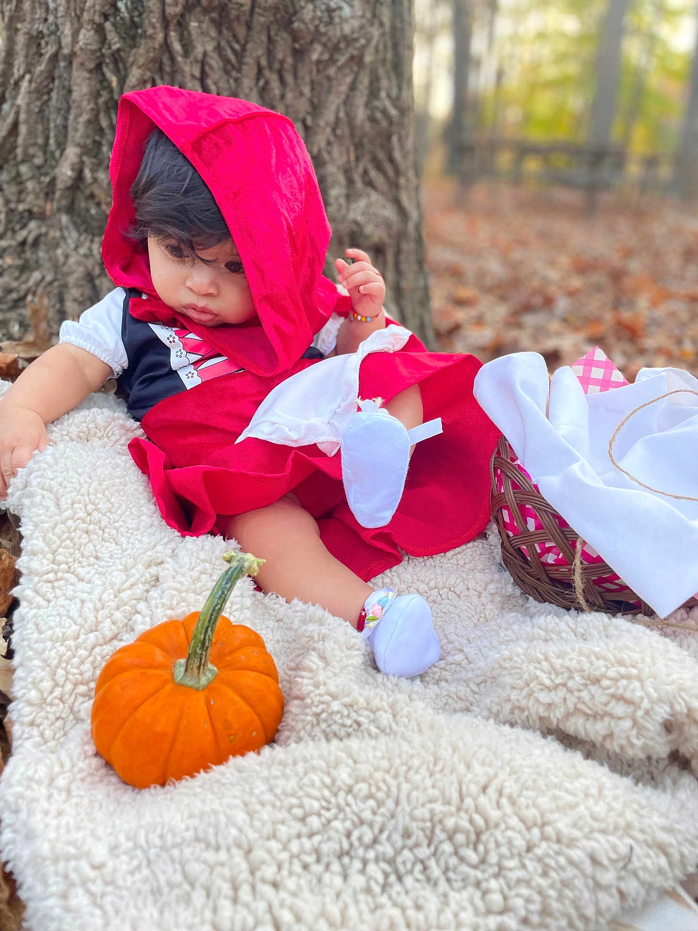 Ysabell joined the competition — help win amazing prizes! baby, child, costume, red_hood, pumpkin, blanket, tree, autumn, outdoor, nature, basket, white_cloth, fall_leaves, cute, sitting, portrait, soft_texture, curious, footwear, colorful