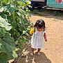 Ysabell joined the competition — help win amazing prizes! child, countryside, curious, dirt_path, farm, flower, greenery, hair_clip, nature, outdoor, plants, sandals, shadow, summer, sunflower, sunlight, toddler, truck, vintage_vehicle, white_dress