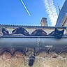 Tac a rejoint le concours — aidez-le/la à gagner de superbes lots ! animal, architecture, black_cat, building, cat, chimney, cloud, contrail, curious, daylight, gutter, head, outdoor, pet, resting, roof, sky, tabby_cat, tile_roof, wall
