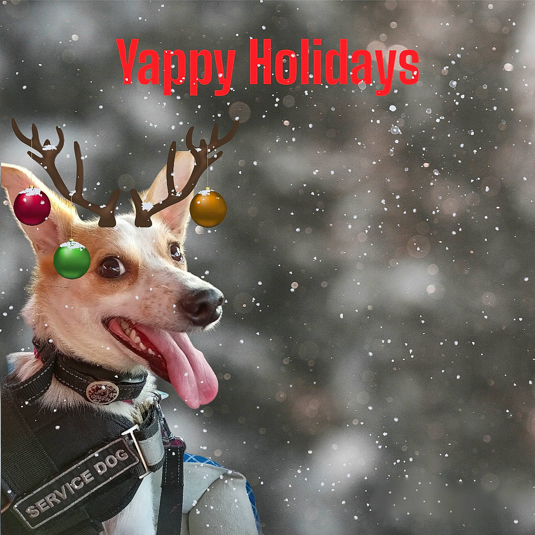 Serana joined the competition — help win amazing prizes! antler, art, christmas_ornament, deer, dog, event, fawn, fictional_character, font, graphic_design, graphics, happy, holiday, illustration, jewellery, photo_caption, reindeer, snout, wildlife, winter