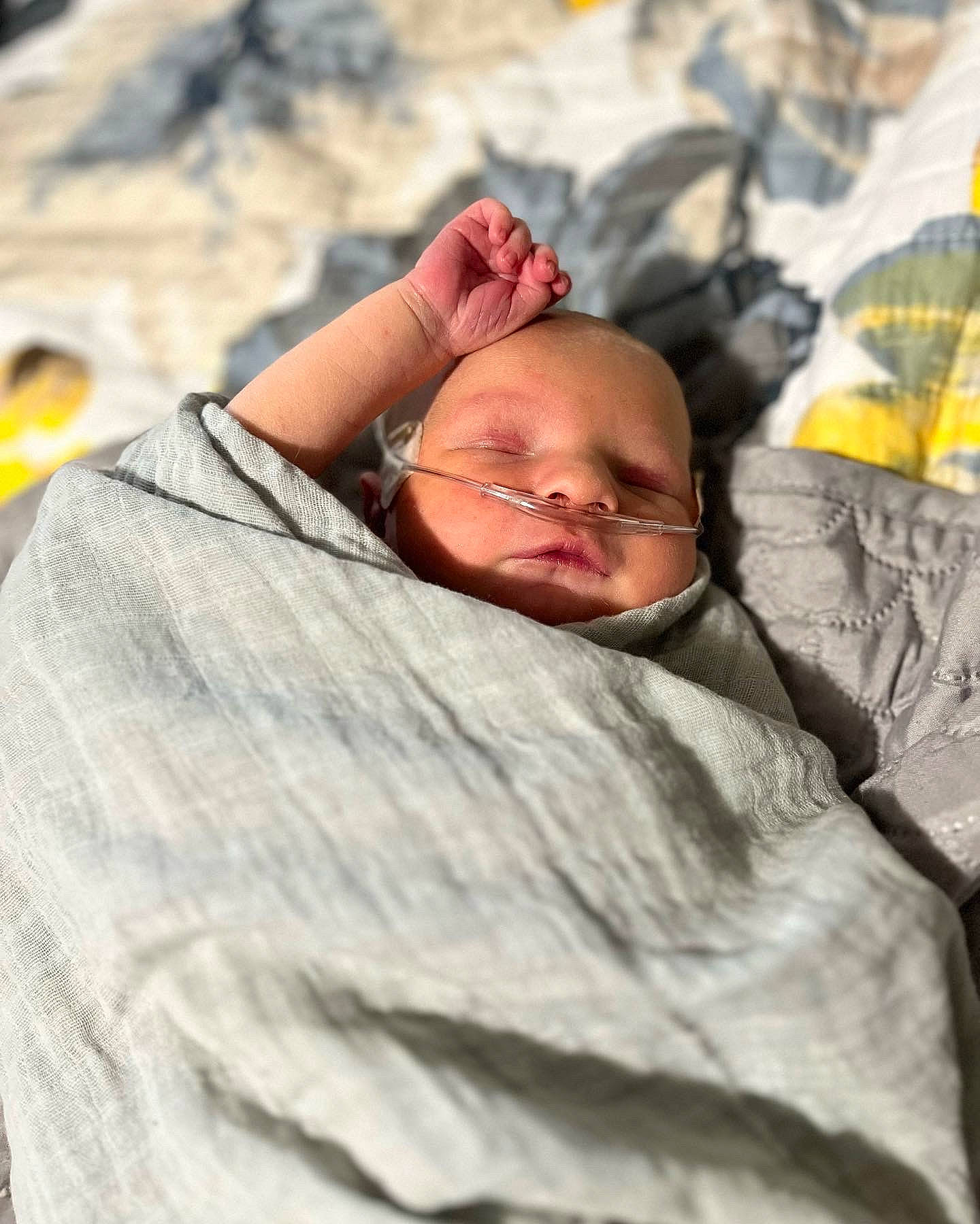 Alessio joined the competition — help win amazing prizes! baby, child, comfort, event, eyewear, flesh, fun, glasses, grass, linens, nap, person, rock, sitting, sleep, sunglasses, vacation, vision_care, wood, wrinkle