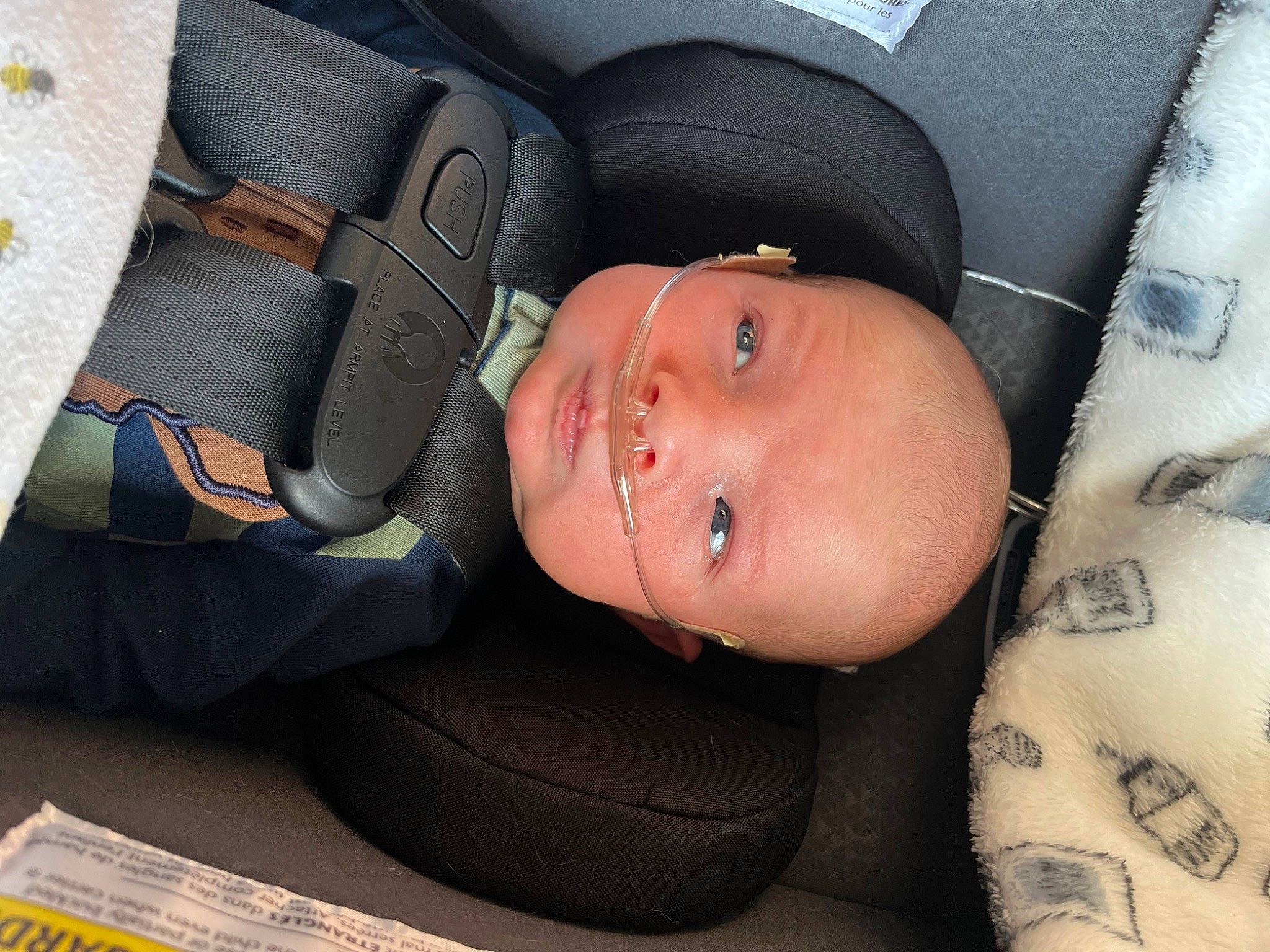 Alessio is registered to the contest to win money with this photo: auto_part, baby, baby_products, baby_safety, baby_toddler_clothing, car_seat, child, comfort, linens, nap, pattern, person, skin, sleep, smile, toddler