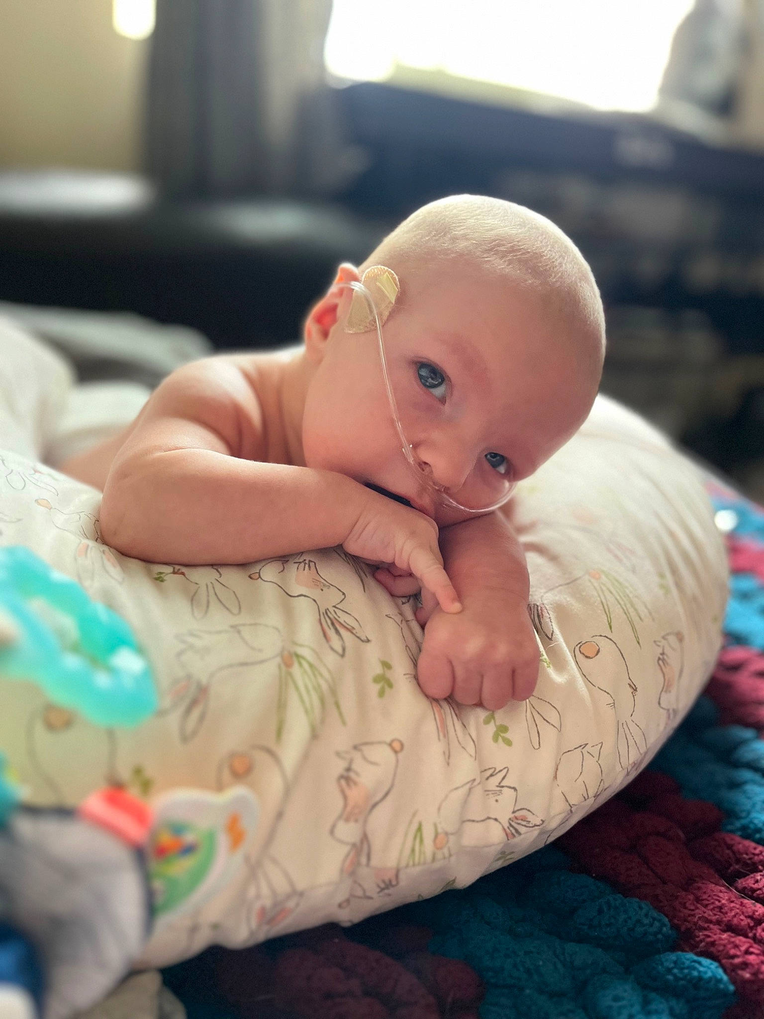 Alessio joined the competition — help win amazing prizes! baby, baby_products, baby_toddler_clothing, bedtime, cheek, child, comfort, flooring, grass, happy, linens, pattern, person, portrait_photography, room, sitting, skin, sleep, toddler, wood