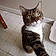 Oliver