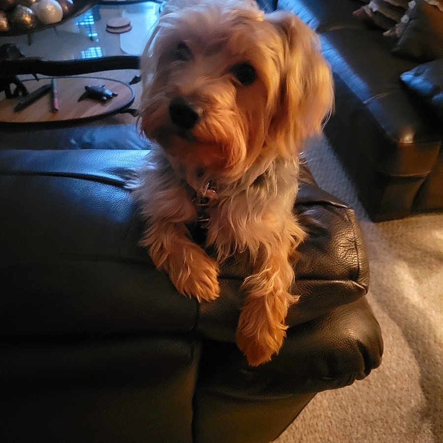 Zeus