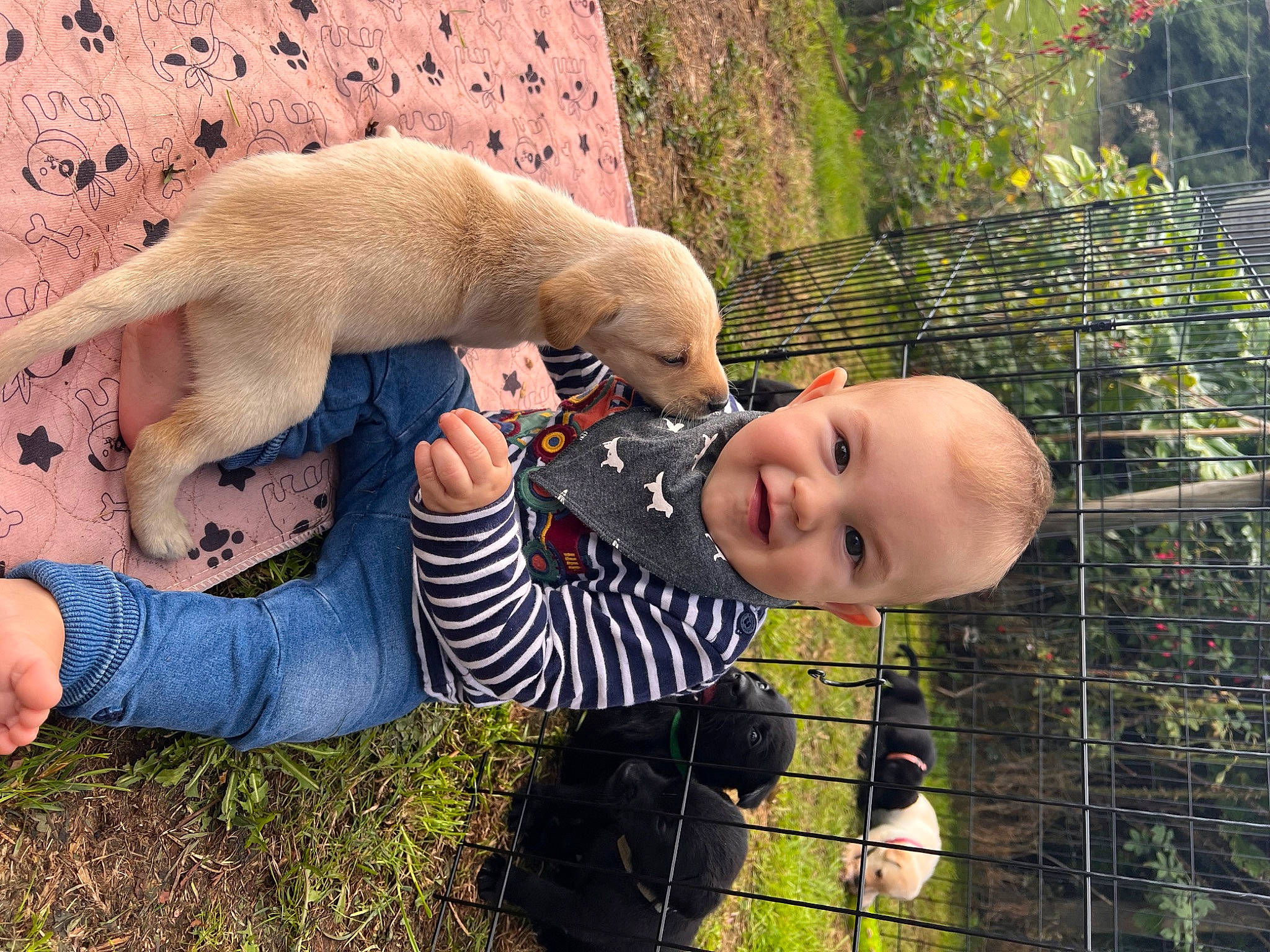 Harry is registered to the contest to win money with this photo: baby, child, companion_dog, fawn, fence, foot, fun, fur, gesture, grass, happy, joy, leisure, paw, people_in_nature, person, plant, sitting, smile, tail
