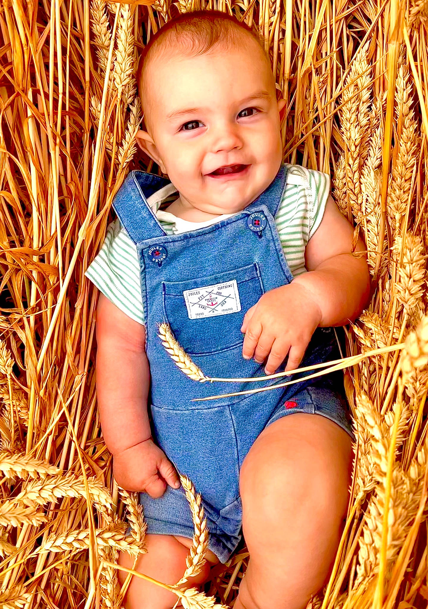 Harry joined the competition — help win amazing prizes! baby, baby_toddler_clothing, brown_hair, child, electric_blue, event, eye, face, grass, happy, human_body, human_leg, joy, pattern, people_in_nature, person, plant, sitting, skin, smile