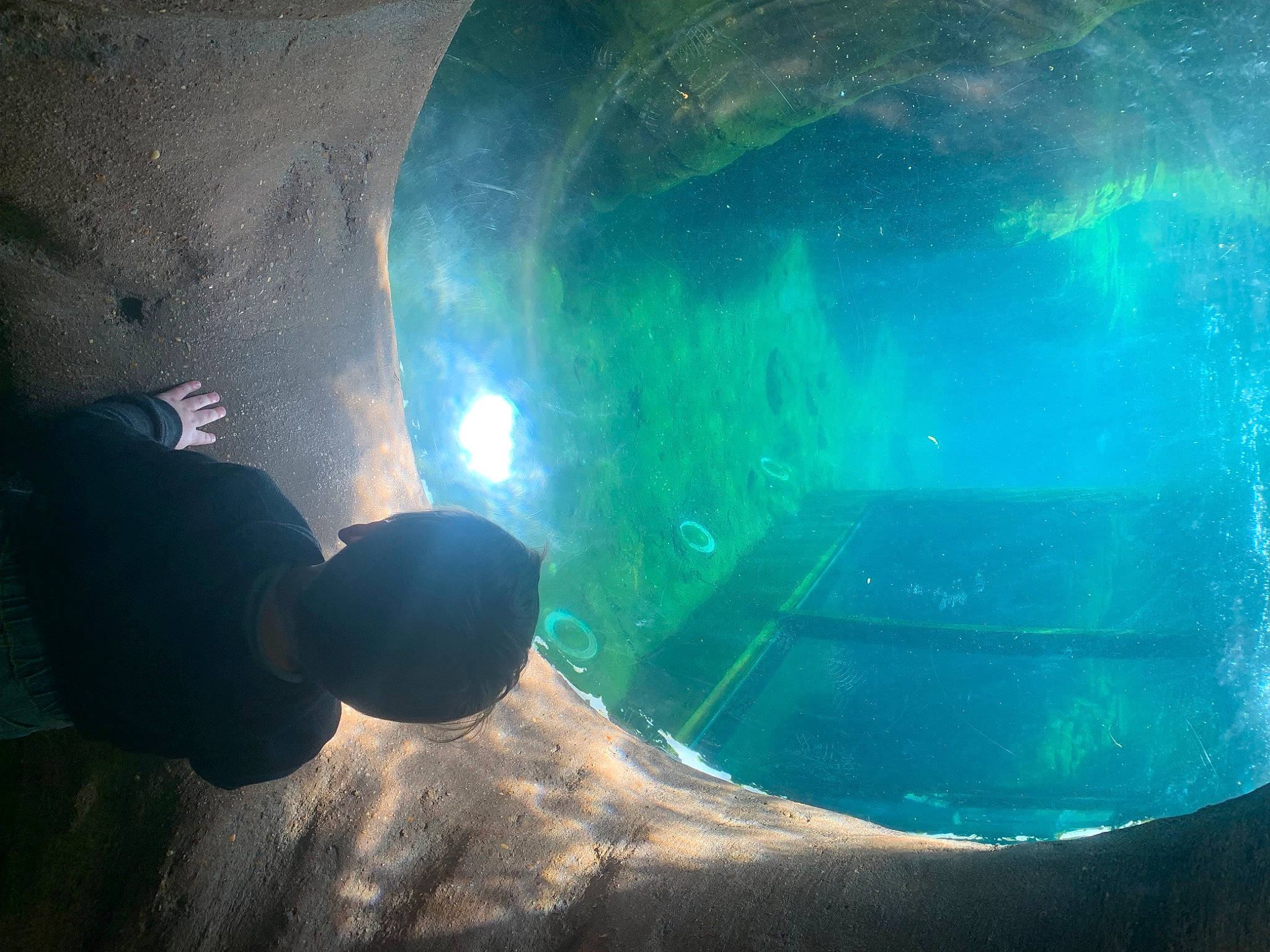 Kent is registered to the contest to win money with this photo: aquarium, astronomical_object, circle, darkness, electric_blue, fun, glass, landscape, leisure, lens_flare, marine_biology, organism, person, personal_protective_equipment, recreation, reflection, sky, space, underwater, water