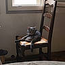 cat, chair, window, indoor, wooden_furniture, woven_seat, gray_cat, relaxed, natural_light, tablecloth, floral_pattern, home, pet, sitting, quiet, cozy, shadow, floor, wall, furniture