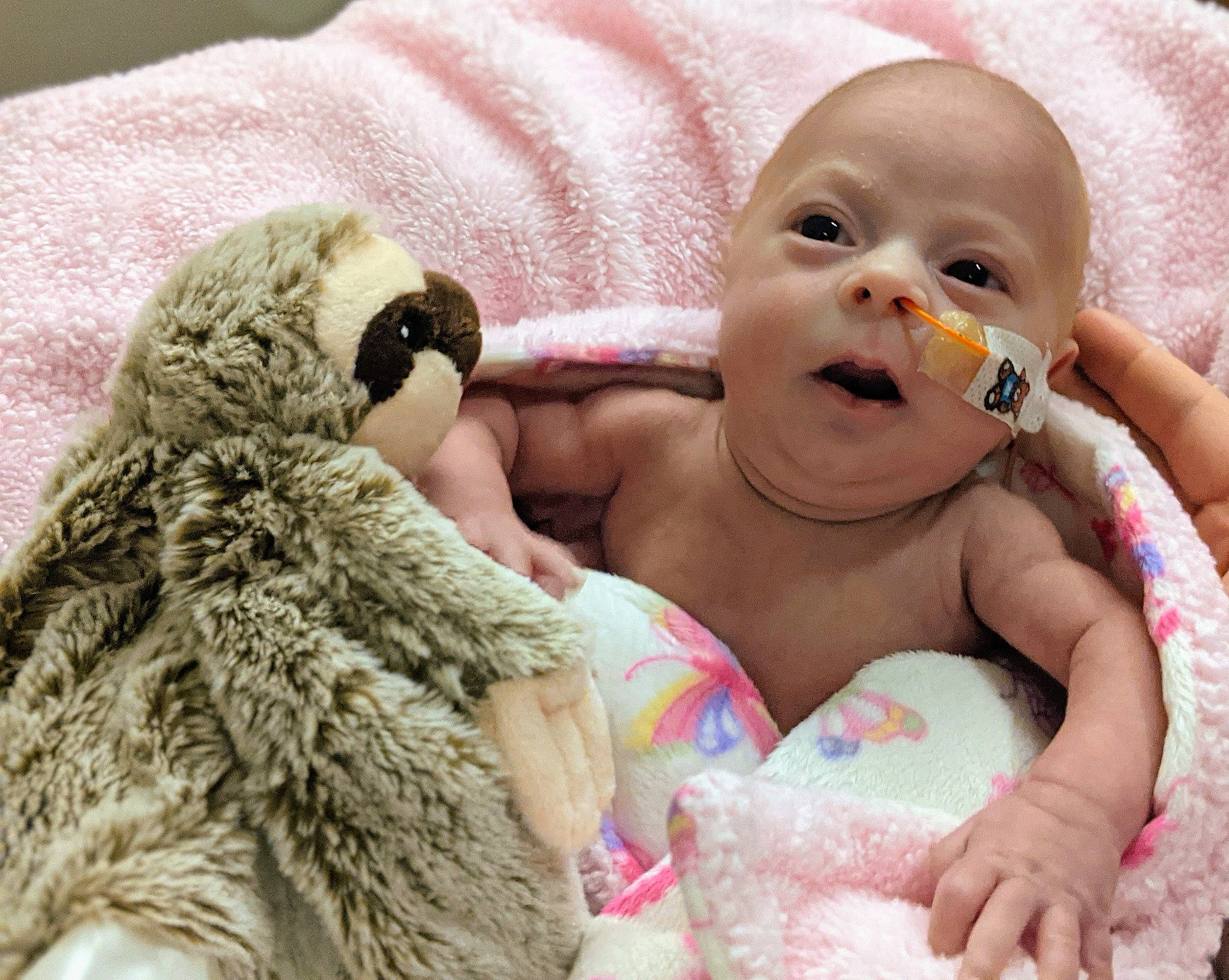 Maelynn joined the competition — help win amazing prizes! baby, baby_sleeping, baby_toddler_clothing, beauty, cheek, comfort, eye, finger, happy, interaction, linens, lip, mammal, nose, person, photograph, pink, skin, smile, toddler