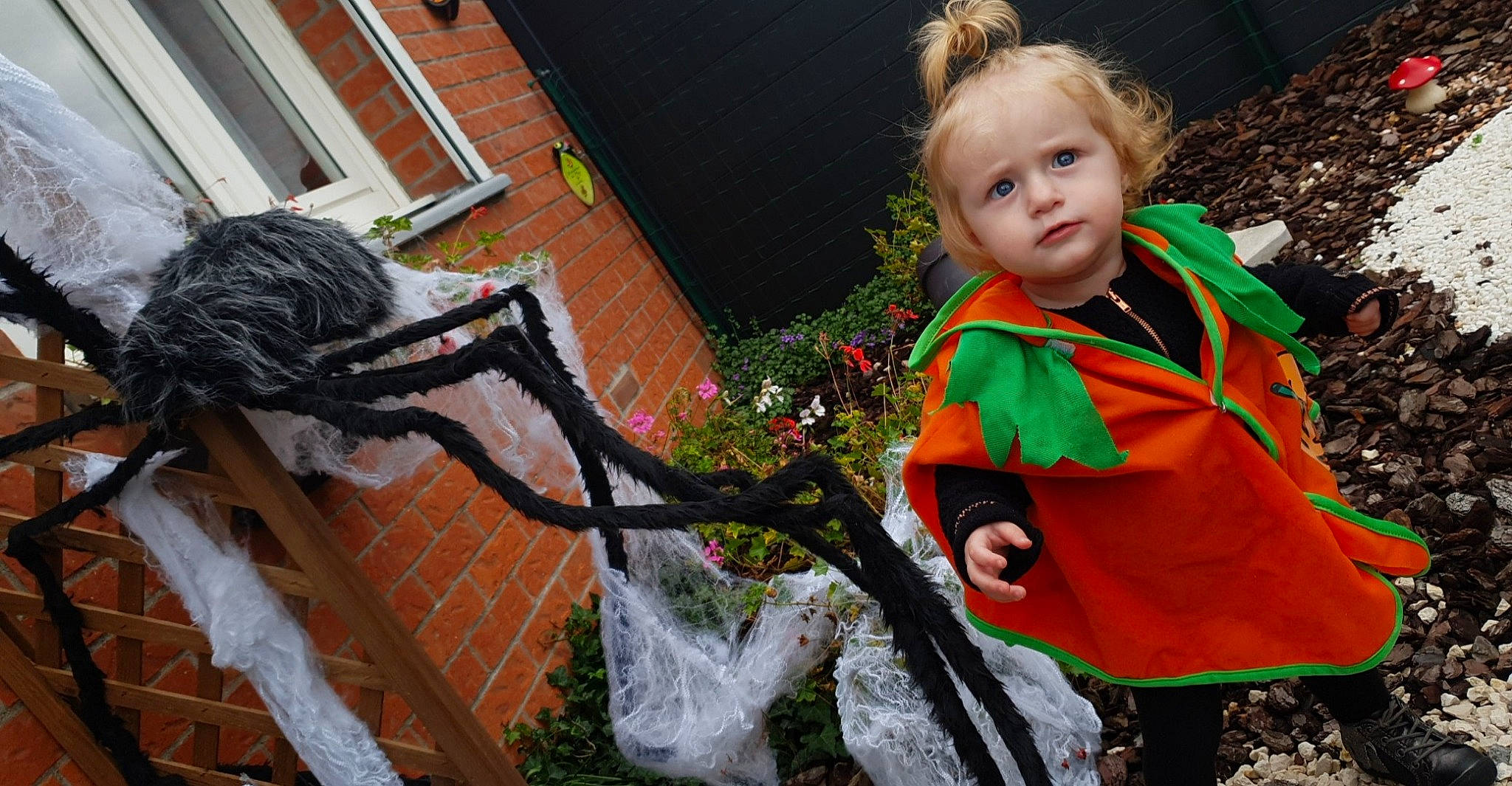 Ruby participe au concours pour gagner de l'argent avec cette photo : child, costume, fun, girl, halloween, person, plant, recreation, tree, winter