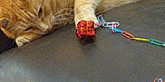 Tigger is registered to the contest to win money with this photo: cat, ginger_cat, sleeping, couch, leather, paw, toy, gift, red, paperclip_chain, colorful, pillow, patterned_pillow, indoor, pet, feline, relaxed, resting, fur, whiskers
