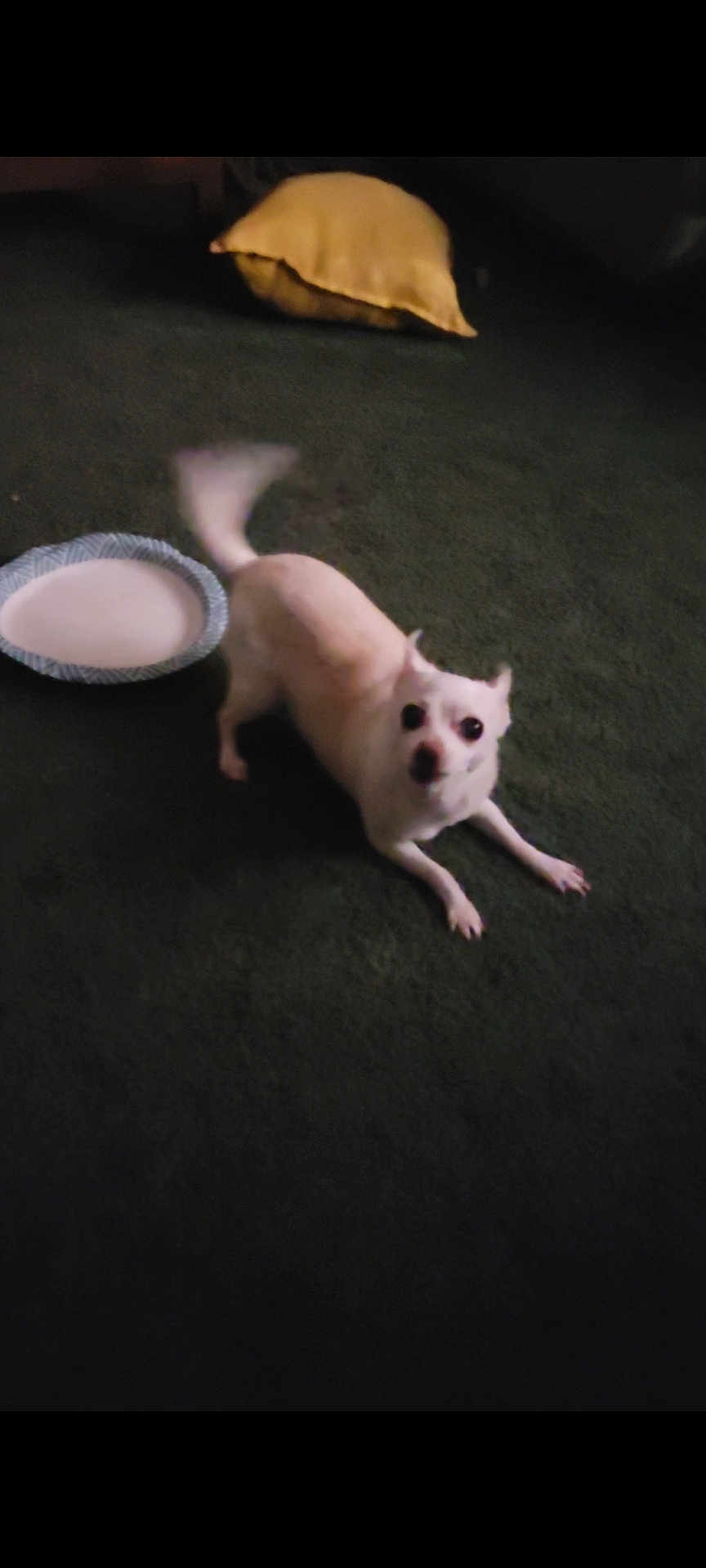 Pixie