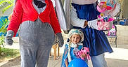 Rosa Nikol joined the competition — help win amazing prizes! animal_costume, balloons, blue, celebration, character, child, costume, dress, entertainment, festival, gift, happy, headwear, mascot, outdoor, party, person, plush_toy, smile, toy