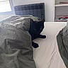 black_cat, cat, bed, blanket, indoor, pet, feline, resting, cozy, gray_blanket, white_bed, radiator, window, shelf, domestic_animal, animal, fur, whiskers, paw, quiet