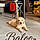 Baloo