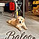 Baloo