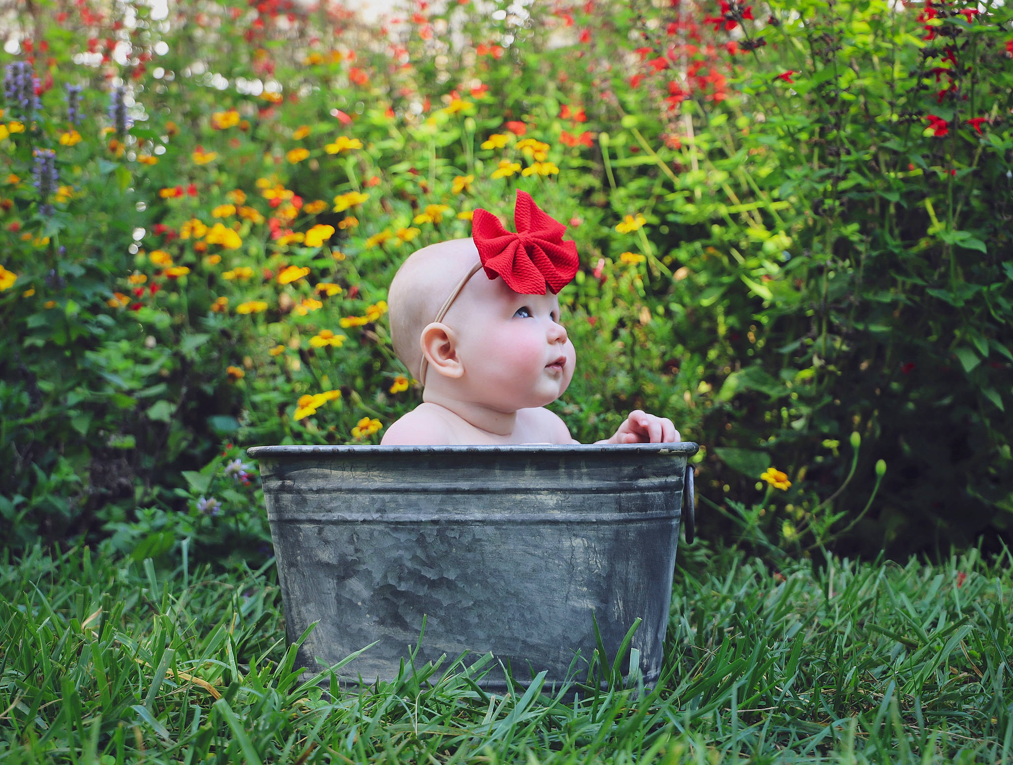 Addy joined the competition — help win amazing prizes! annual_plant, art, baby, flower, flowering_plant, flowerpot, grass, groundcover, happy, head, headwear, lawn, lawn_ornament, leaf, leisure, people_in_nature, person, petal, plant, sculpture