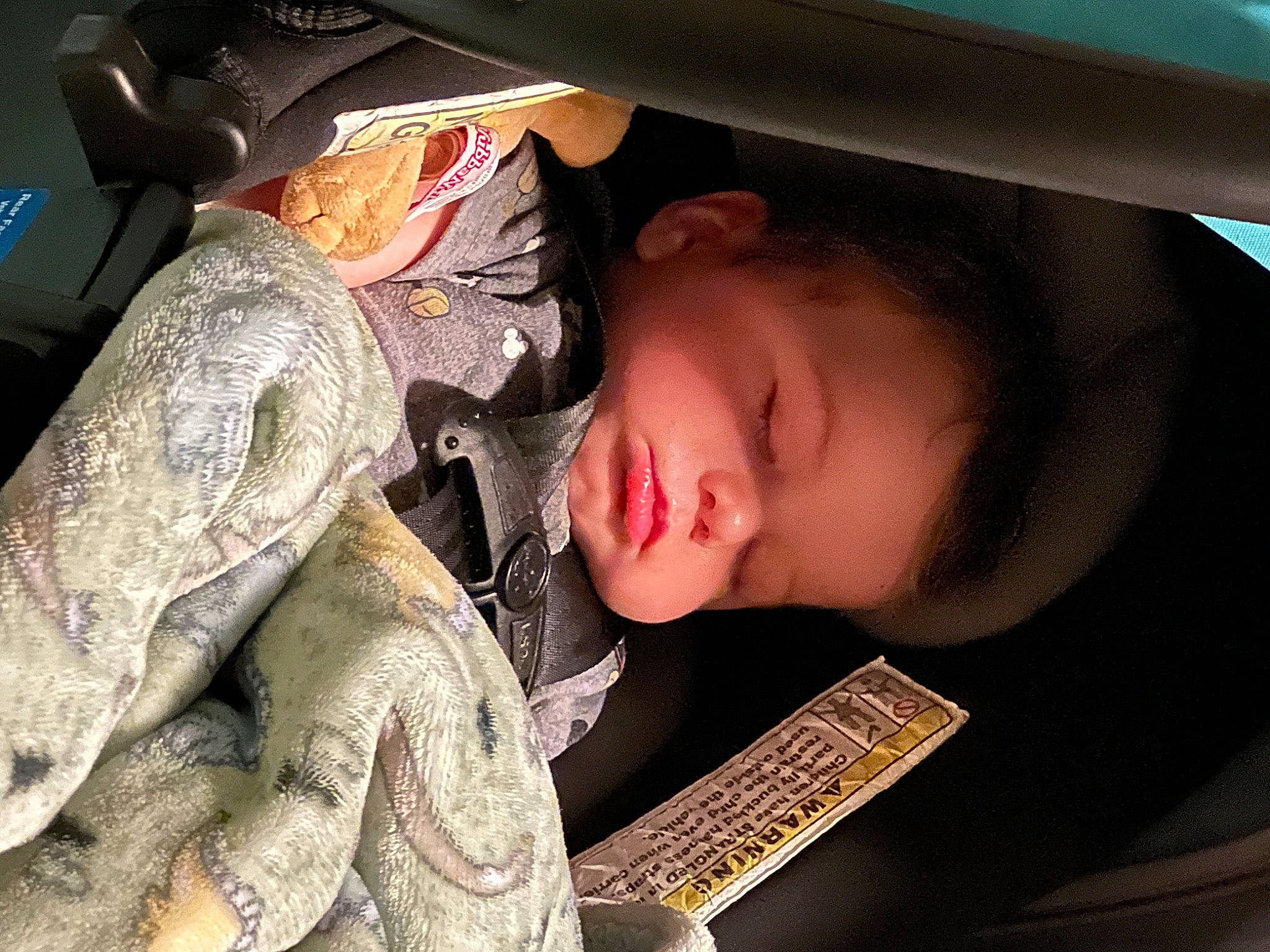Jameson joined the competition — help win amazing prizes! auto_part, baby, baby_carriage, car_seat, comfort, eye, eyelash, hairstyle, hand, helmet, human_body, mammal, military_camouflage, mouth, pattern, person, skin, toddler, tree, vehicle_door