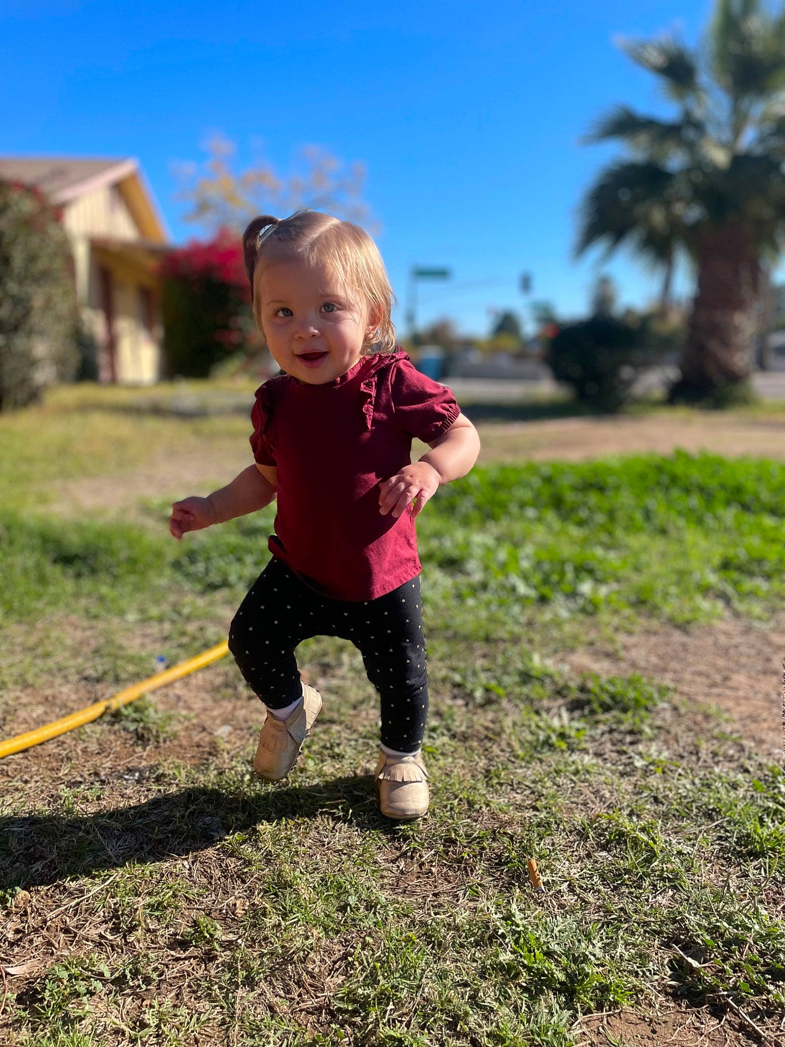 Malayah joined the competition — help win amazing prizes! baby_toddler_clothing, dress, fun, grass, grassland, happy, landscape, leisure, meadow, palm_tree, people_in_nature, person, plant, rural_area, shorts, sky, standing, summer, sunlight, toddler