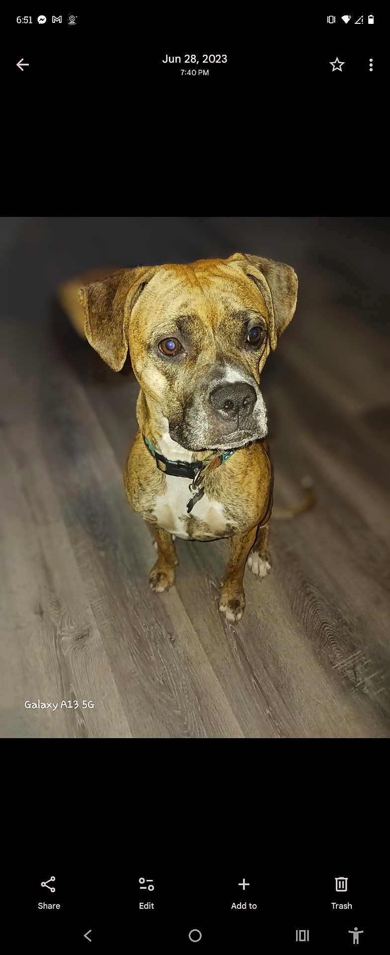 Harley
