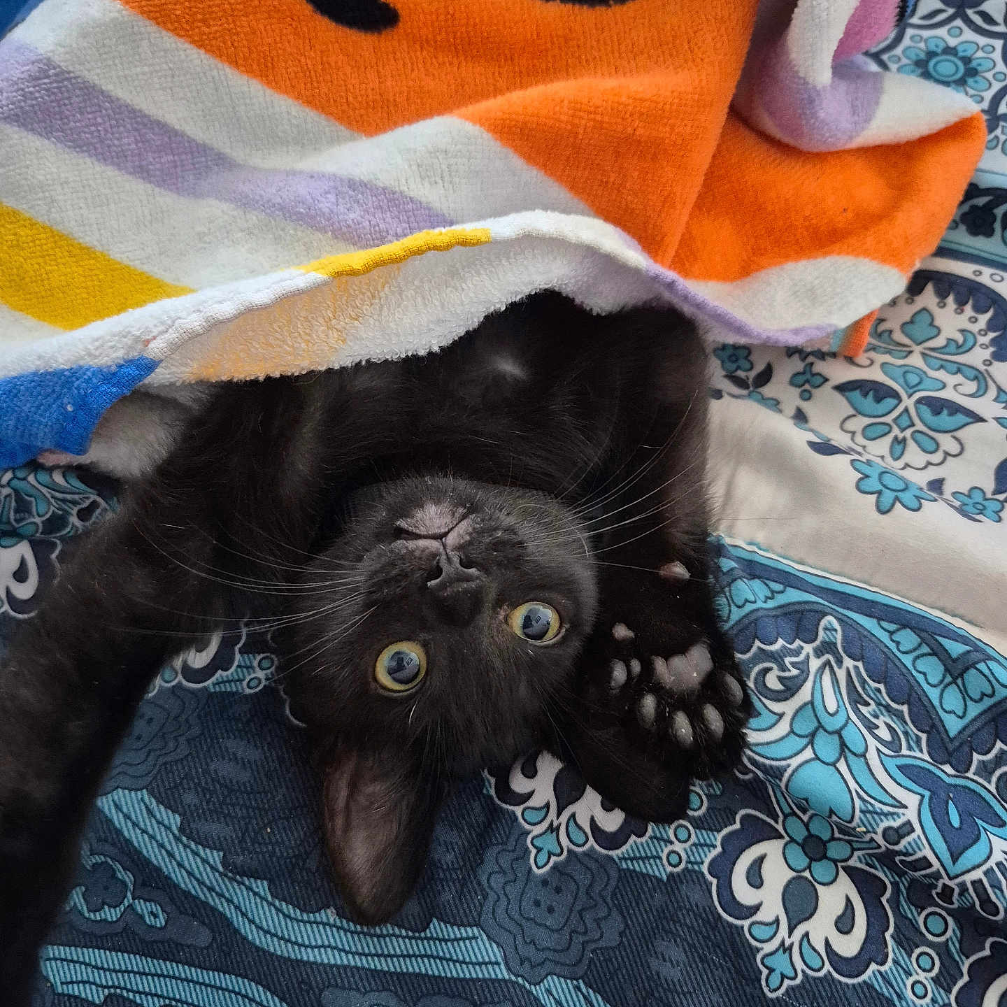 Onyx