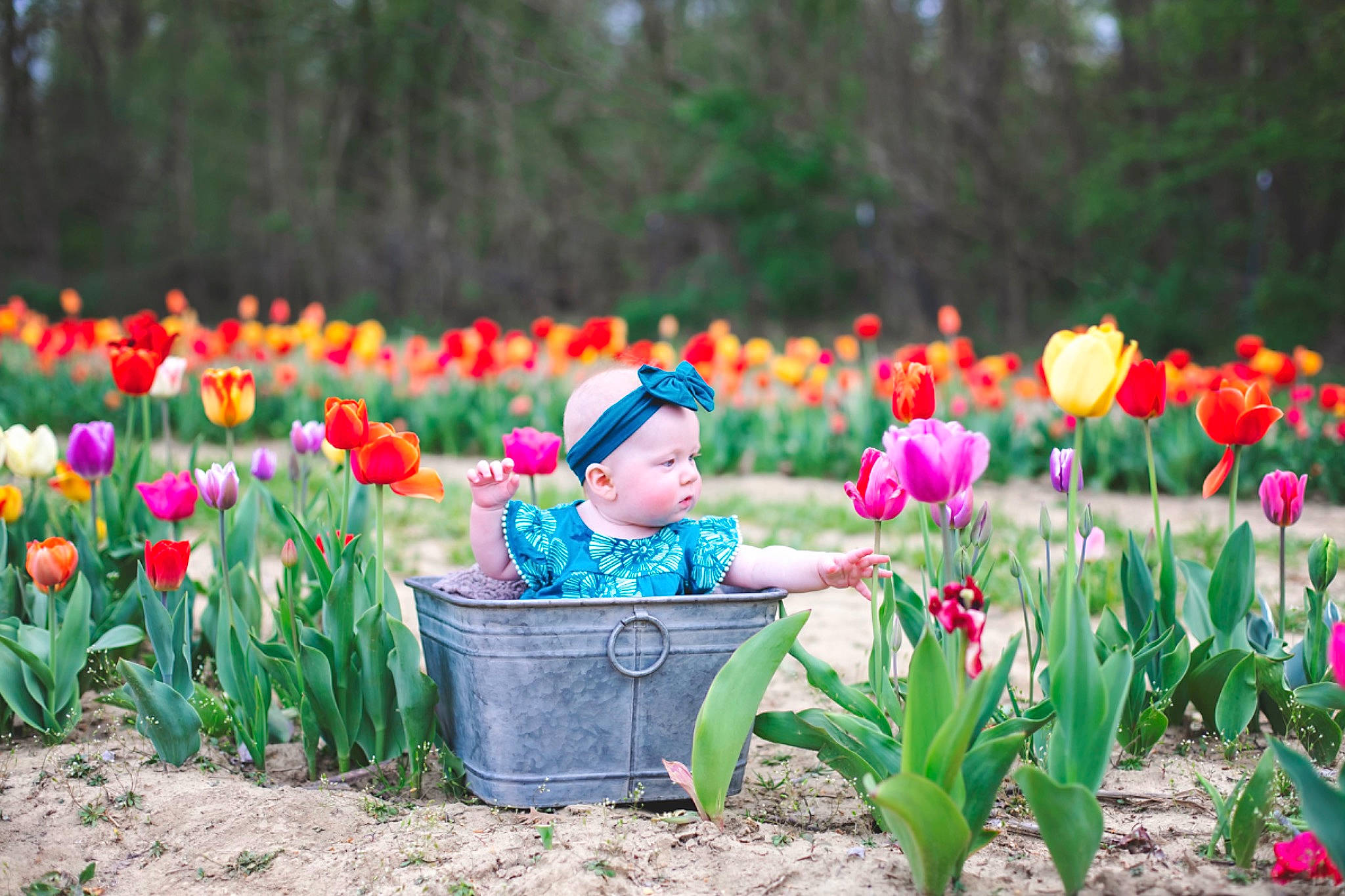 Emersyn joined the competition — help win amazing prizes! annual_plant, botany, ecoregion, flower, flowering_plant, grass, grass_family, groundcover, headwear, landscape, leaf, leisure, magenta, meadow, natural_landscape, people_in_nature, person, petal, pink, plant