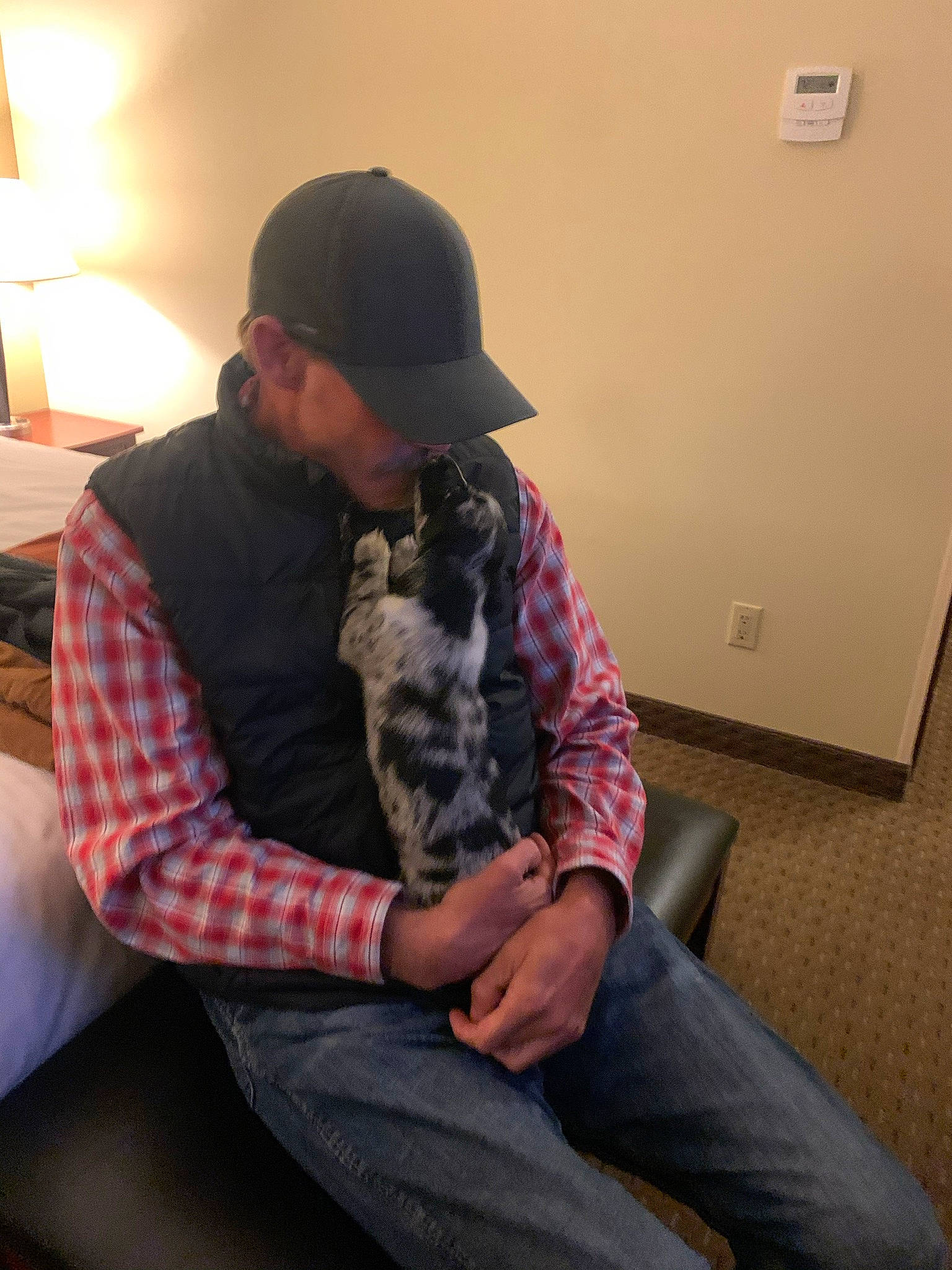 Maize is registered to the contest to win money with this photo: beard, cap, carnivore, comfort, companion_dog, couch, dog_breed, elbow, facial_hair, fawn, felidae, human_leg, jeans, lamp, lap, plaid, sitting, small_to_medium_sized_cats, tartan, thigh
