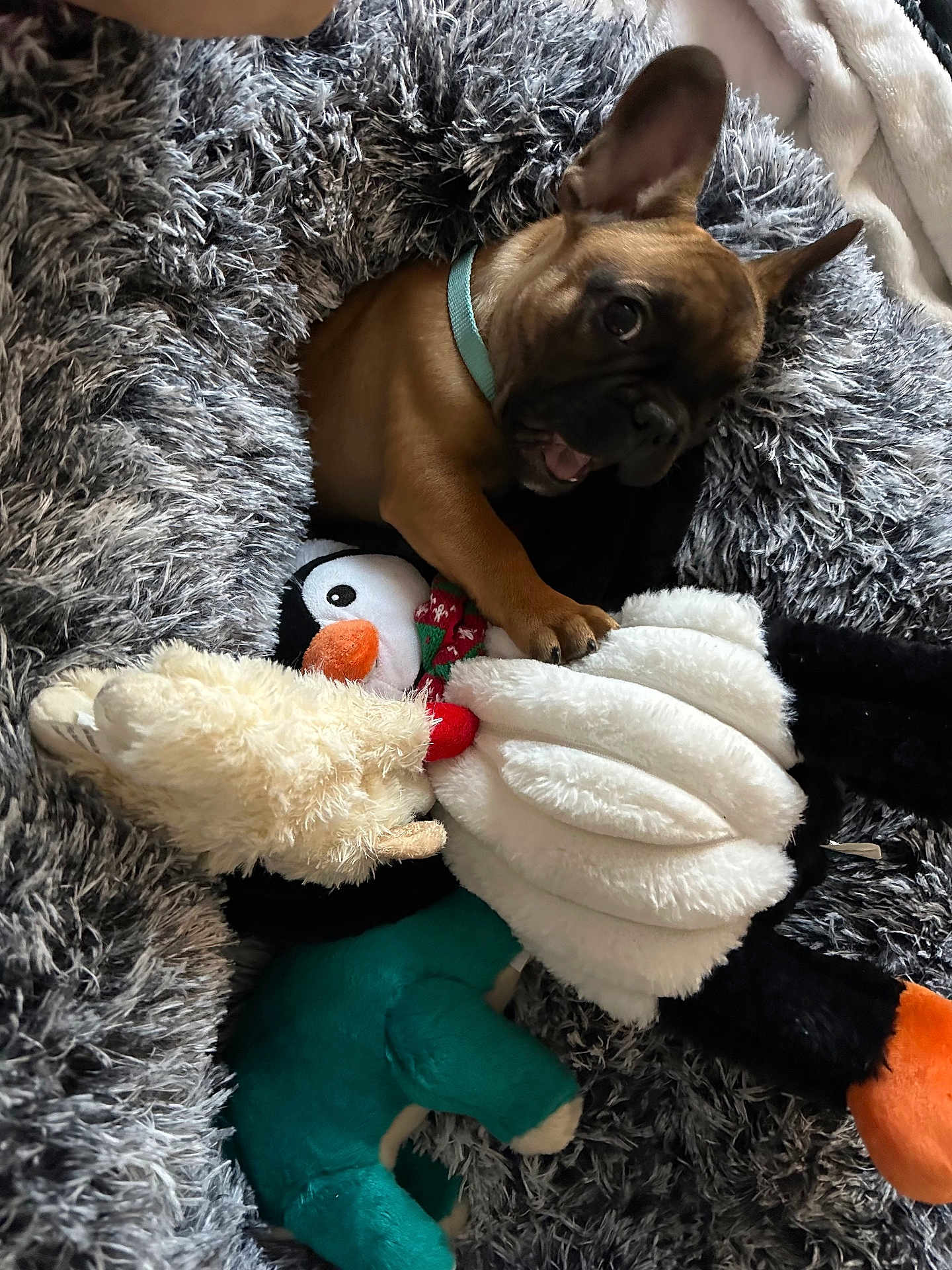 Milo