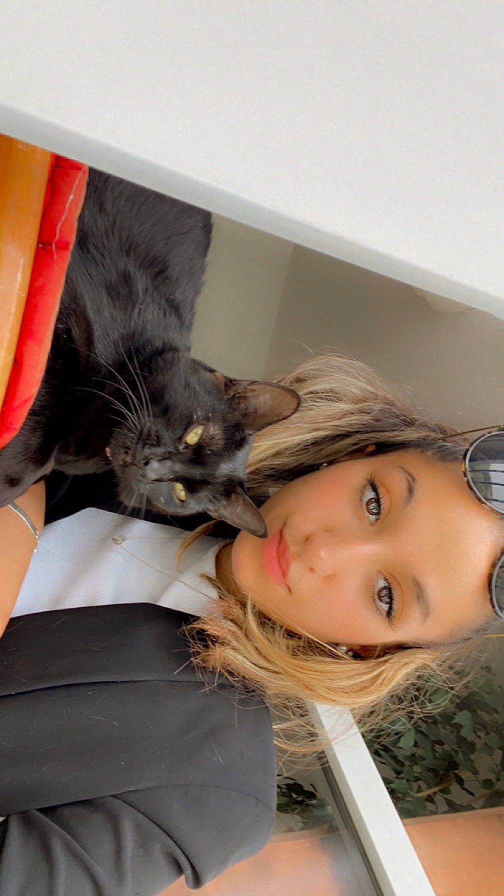 Pumba participe au concours pour gagner de l'argent avec cette photo : black_hair, carnivore, cat, comfort, ear, eyelash, eyewear, fashion_accessory, fawn, felidae, fur, gesture, happy, jaw, neck, selfie, shoulder, sitting, small_to_medium_sized_cats, whiskers