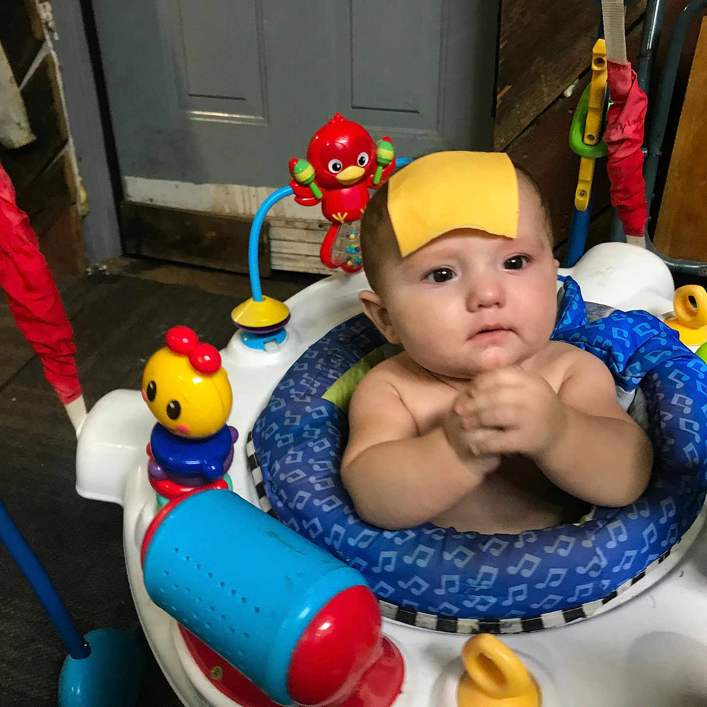 Oakes is registered to the contest to win money with this photo: activity_center, baby, blue, cheese, child, colorful, curious, expression, face, furniture, hands, indoor, infant, plastic, play, red, seat, toy, wood, yellow