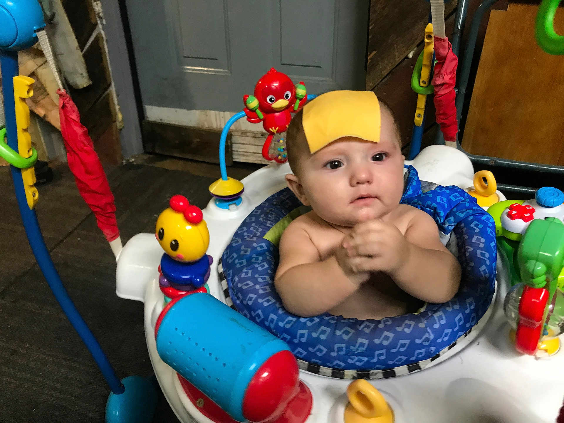 Oakes is registered to the contest to win money with this photo: baby, child, cheese, activity_center, toy, indoor, face, expression, hands, seat, colorful, play, curious, infant, blue, red, yellow, plastic, furniture, wood