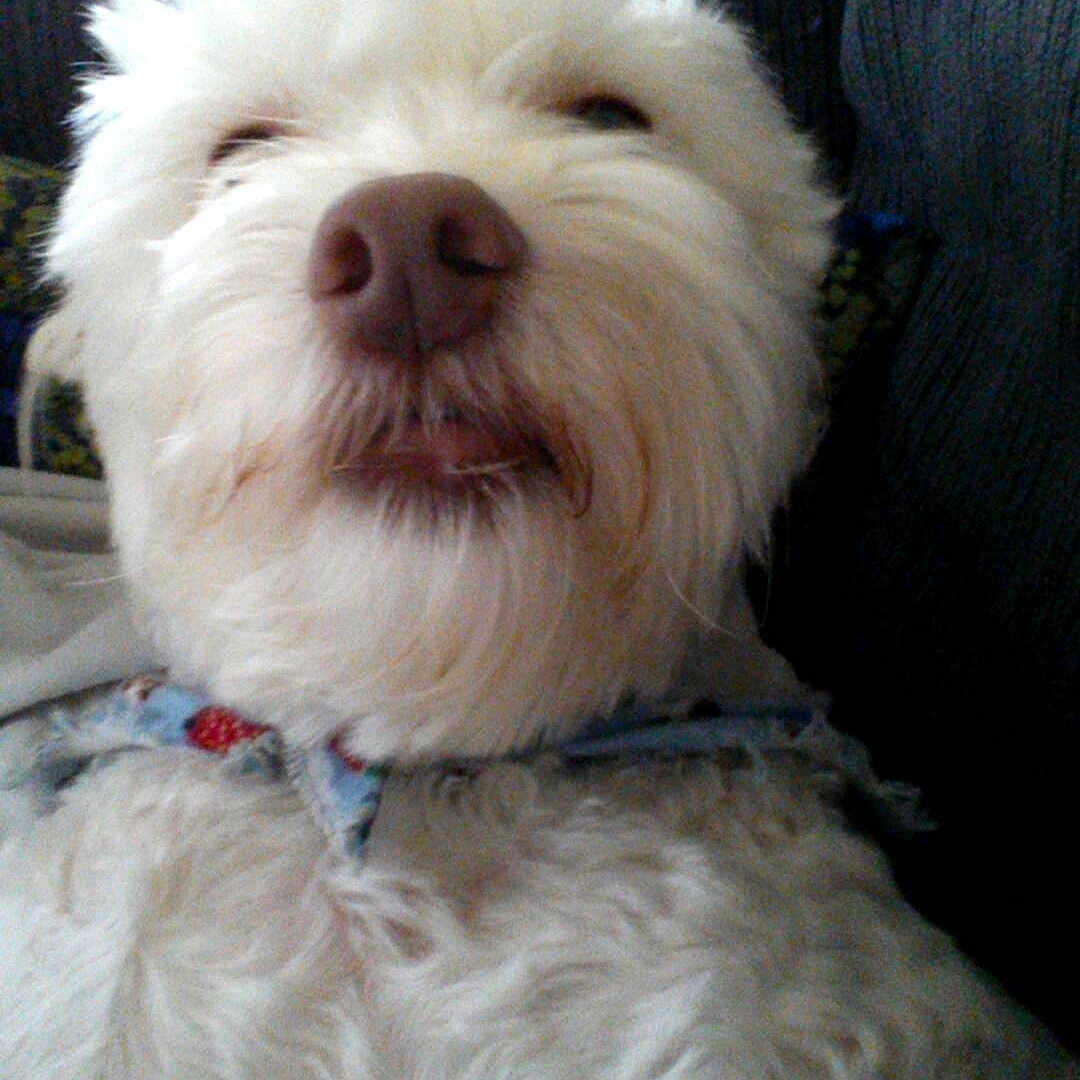 Ted is registered to the contest to win money with this photo: