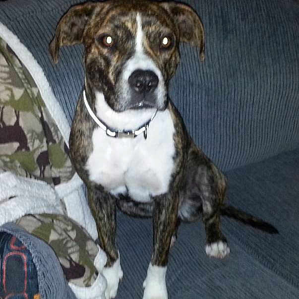Bella