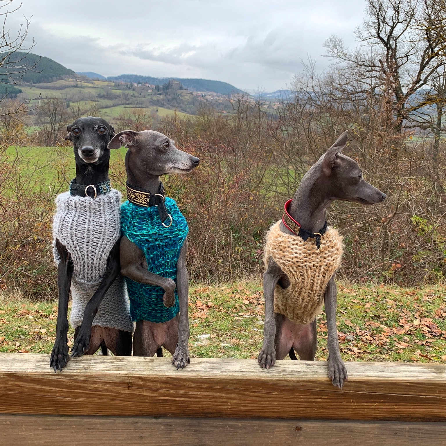 Rita Mota. Et Hermione