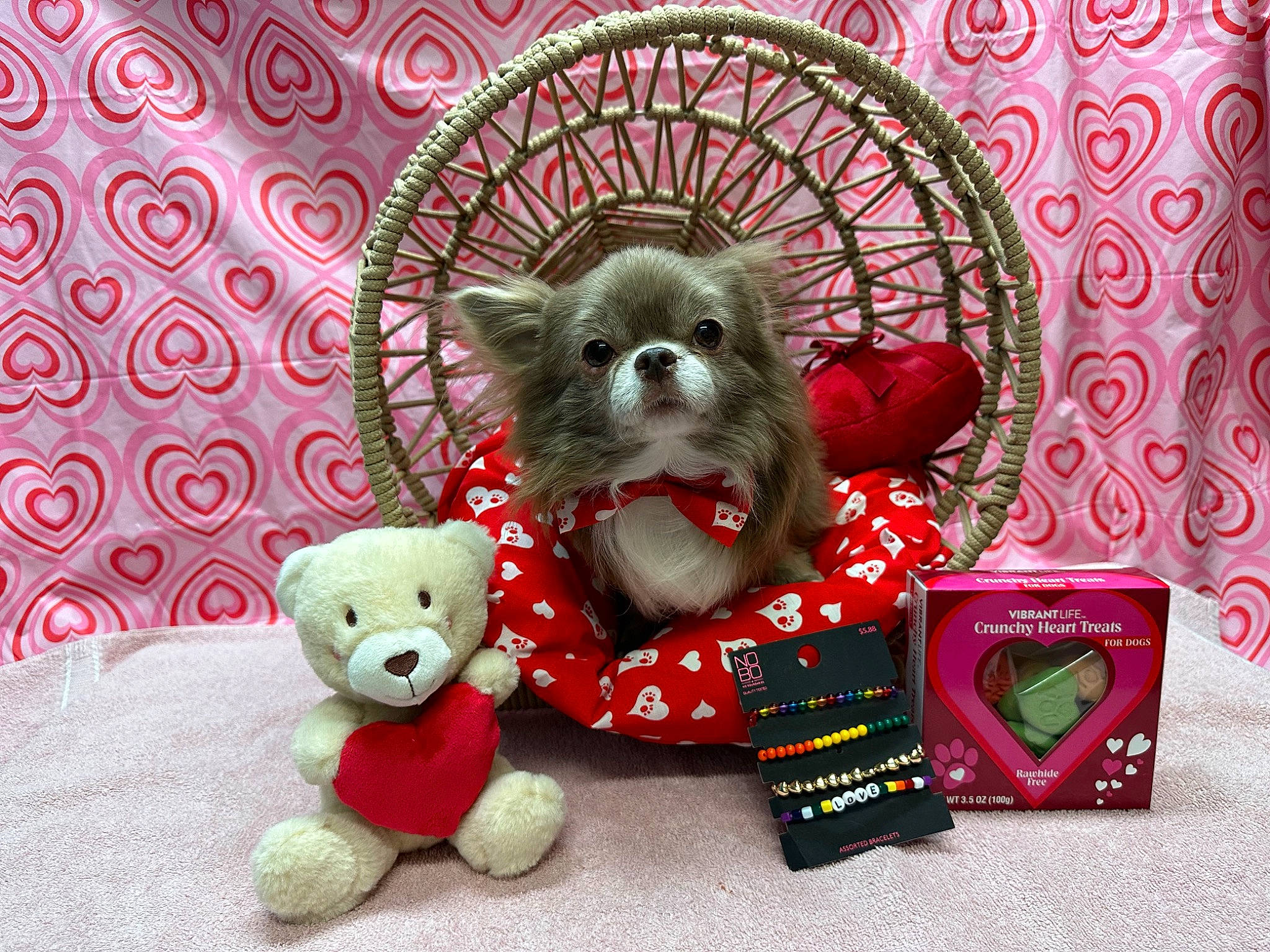 Smokey is registered to the contest to win money with this photo: canidae, carnivore, companion_dog, dog, dog_breed, dog_supply, font, magenta, mammal, pattern, pet_supply, pink, product, red, snout, sporting_group, stuffed_toy, toy, toy_dog, working_animal