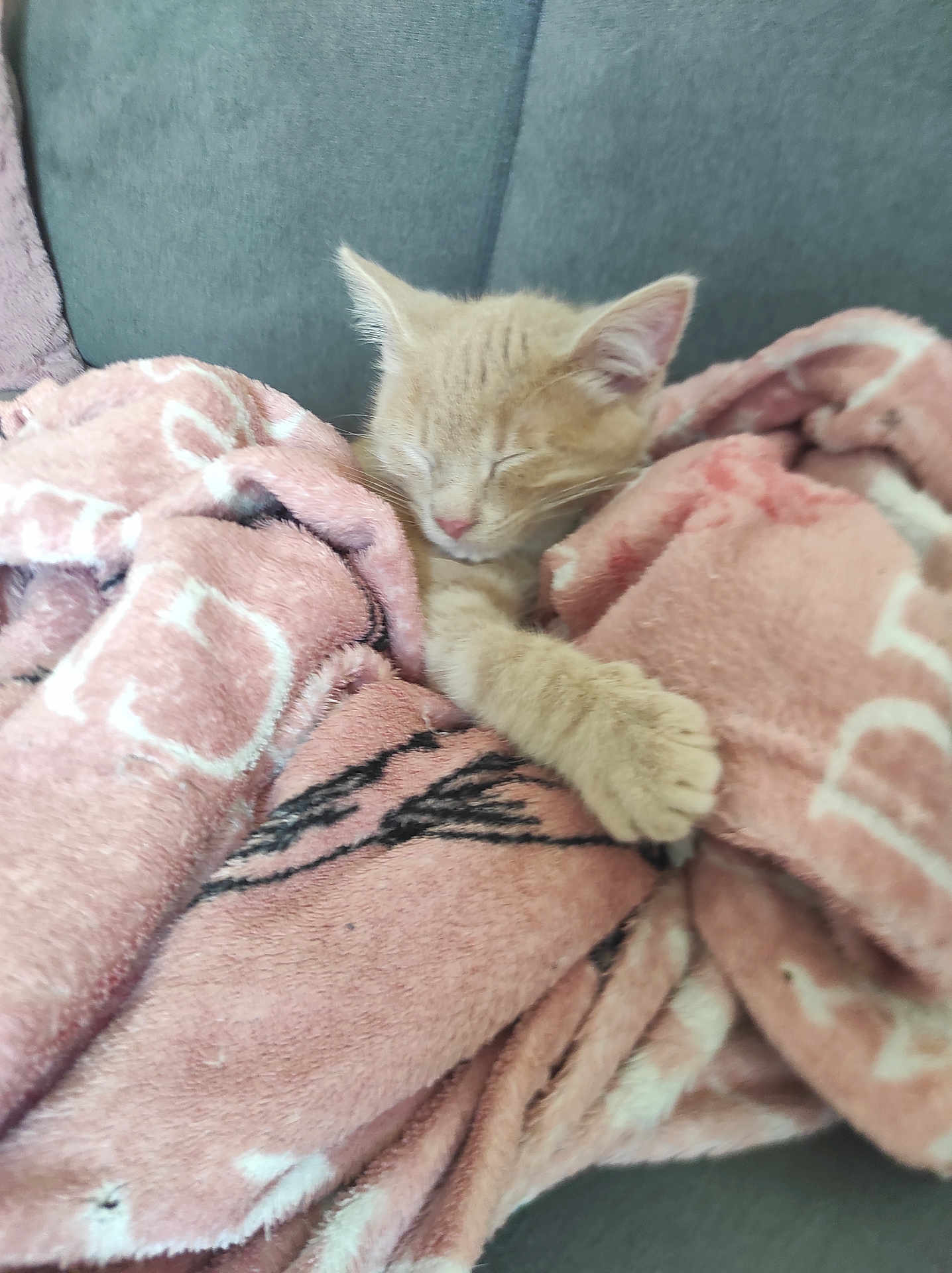 Titou