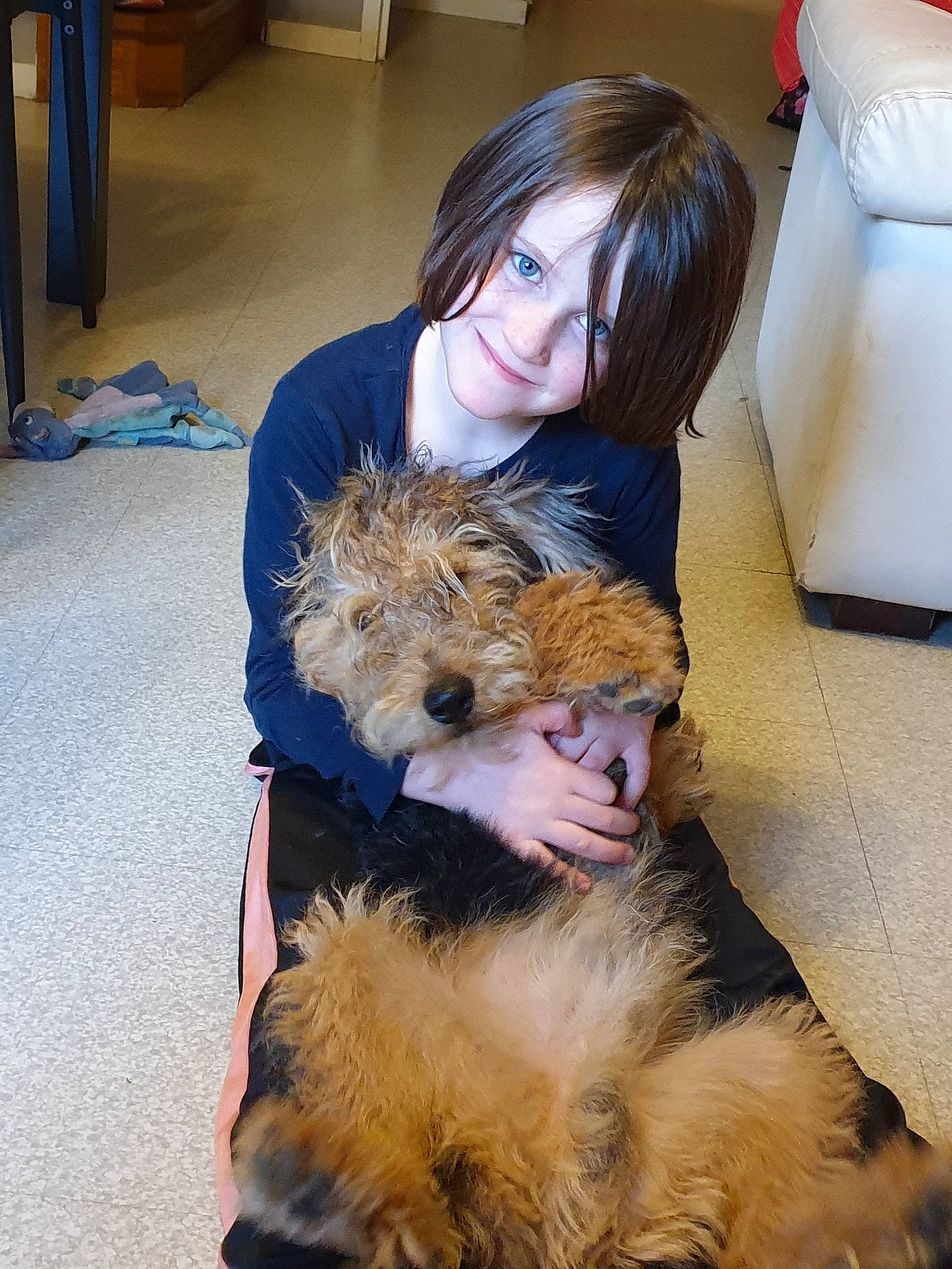 Camille participe au concours pour gagner de l'argent avec cette photo : canidae, carnivore, dog, dog_breed, fawn, fur, joy, person, schnoodle, terrier