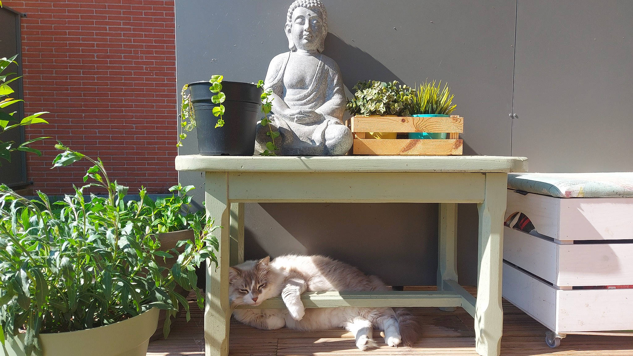 Surya participe au concours pour gagner de l'argent avec cette photo : art, flowerpot, grass, hardwood, houseplant, lawn_ornament, leisure, monument, outdoor_furniture, plant, rectangle, room, sculpture, shelf, shelving, shrub, statue, table, white, wood