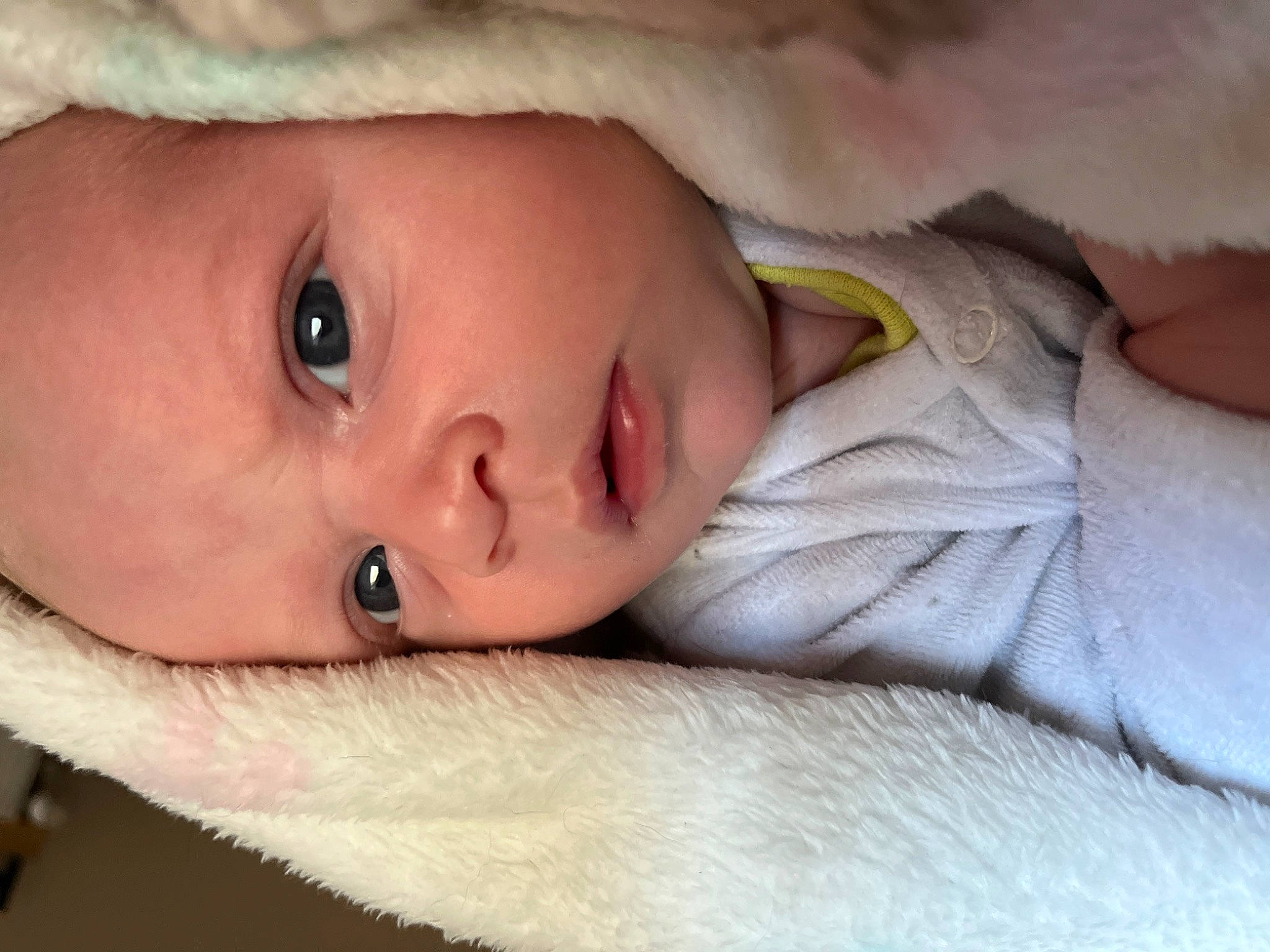 Tino a rejoint le concours — aidez-le/la à gagner de superbes lots ! baby, cheek, child, chin, close_up, comfort, eye, eyebrow, eyelash, face, fur, hand, head, iris, lip, mouth, nose, person, skin, toddler