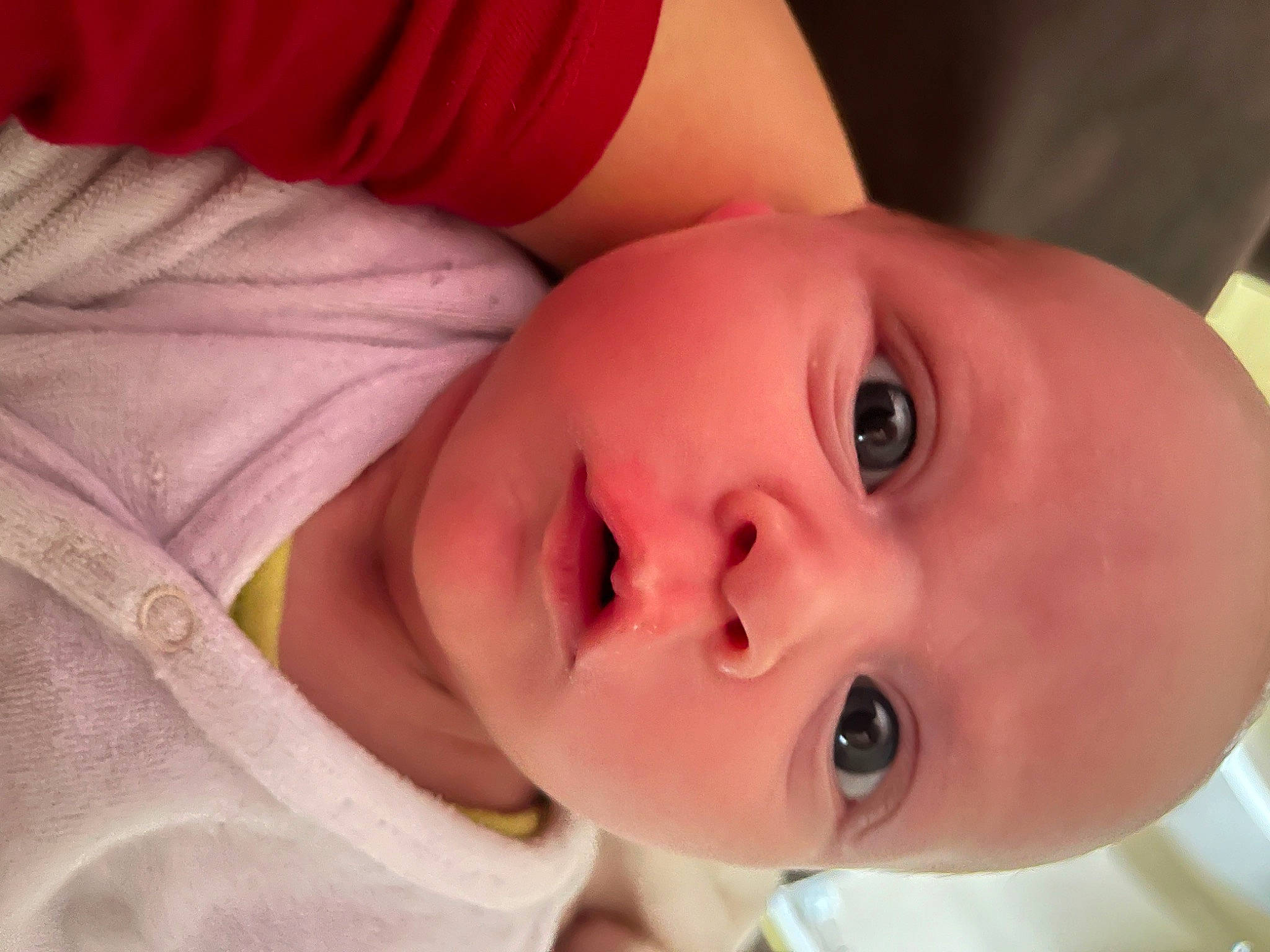 Tino participe au concours pour gagner de l'argent avec cette photo : baby_toddler_clothing, cheek, chin, ear, eye, eyebrow, eyelash, face, forehead, hair, hand, head, human_body, iris, lip, mouth, neck, nose, person, plant