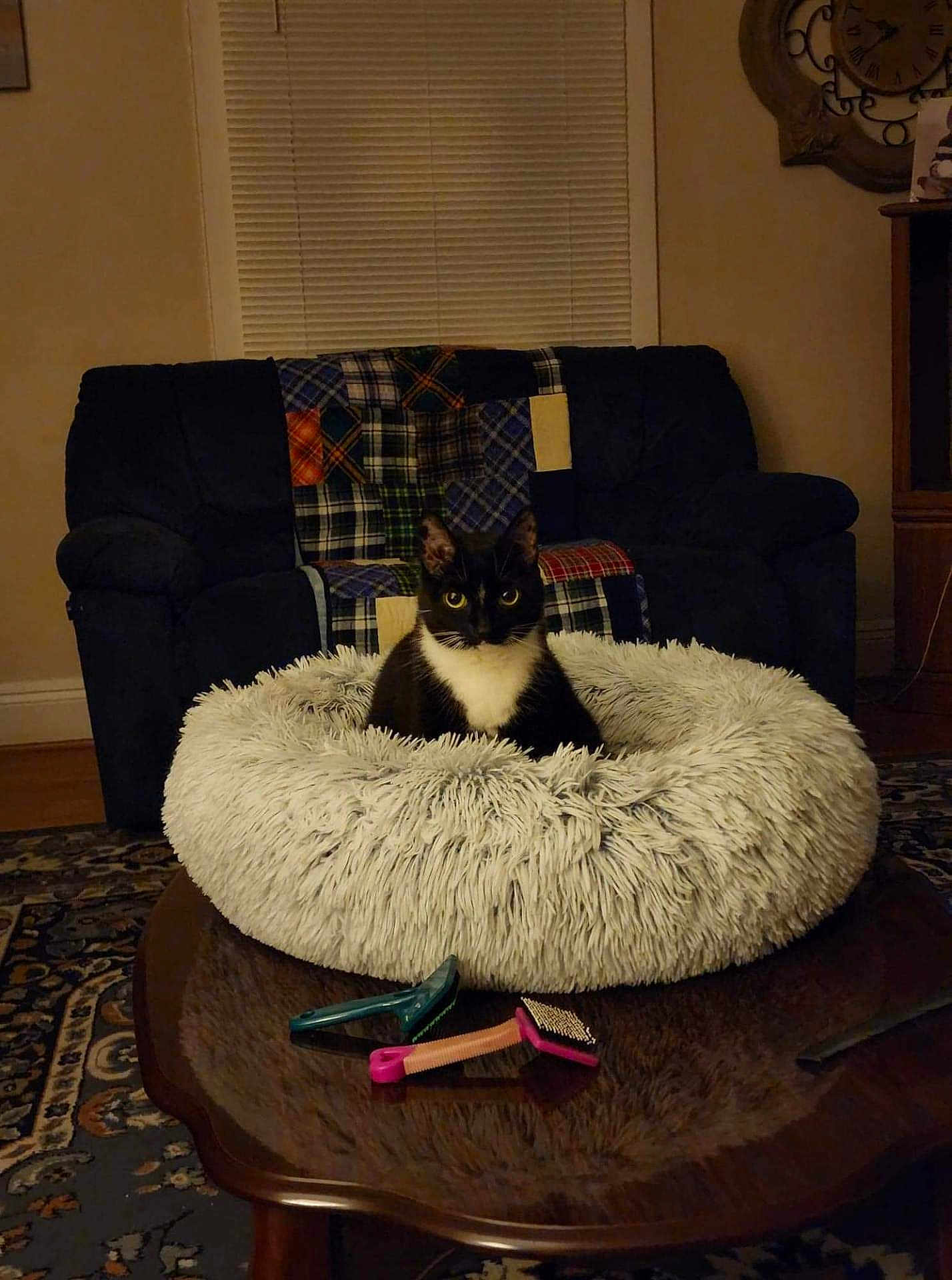 Mittens