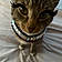 Kitty
