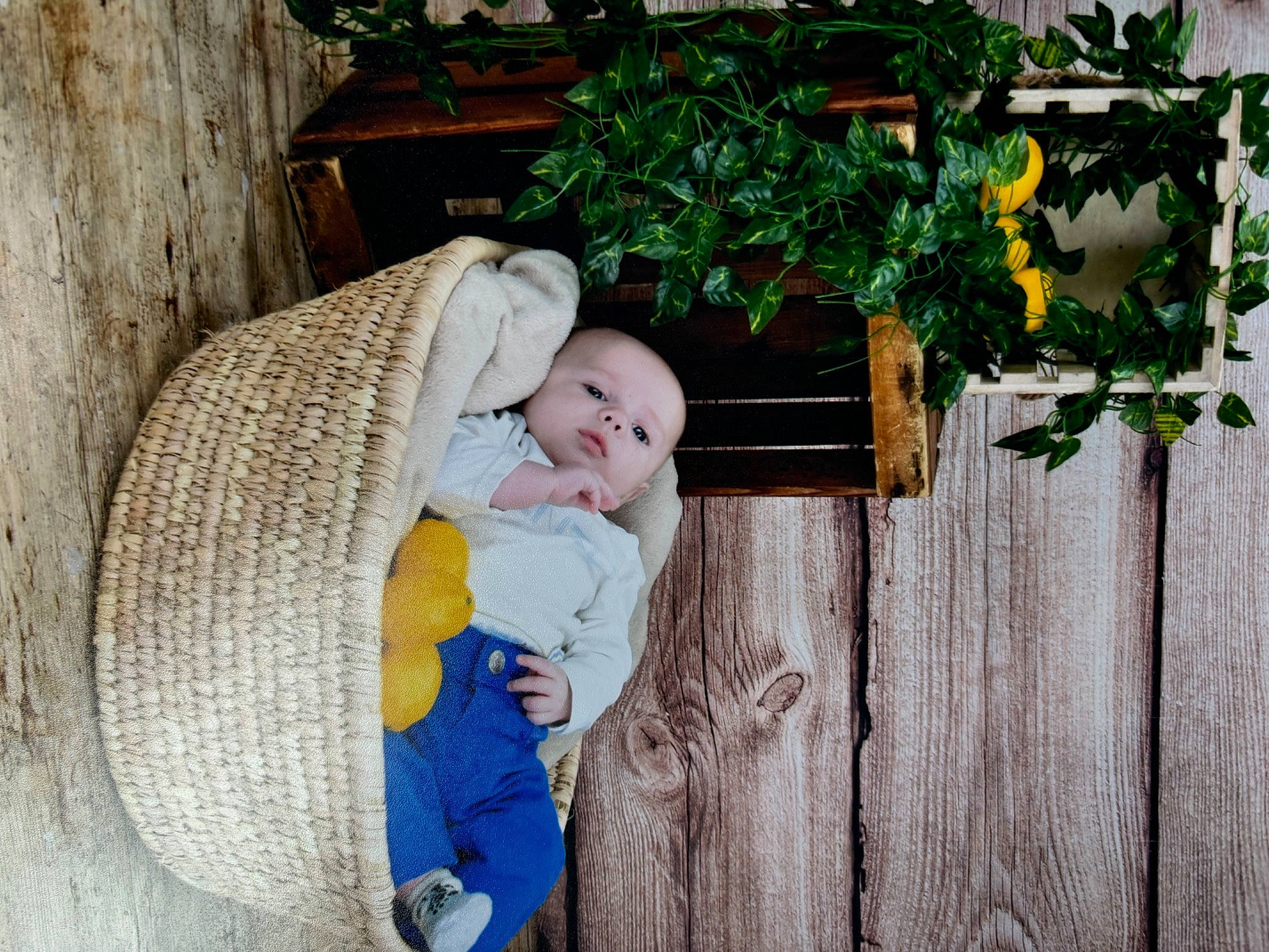 Lyam a rejoint le concours — aidez-le/la à gagner de superbes lots ! annual_plant, baby, baby_toddler_clothing, child, comfort, eye, floral_design, flower, flower_arranging, grass, happy, leisure, people_in_nature, person, plant, portrait_photography, sitting, toddler, tree, wood