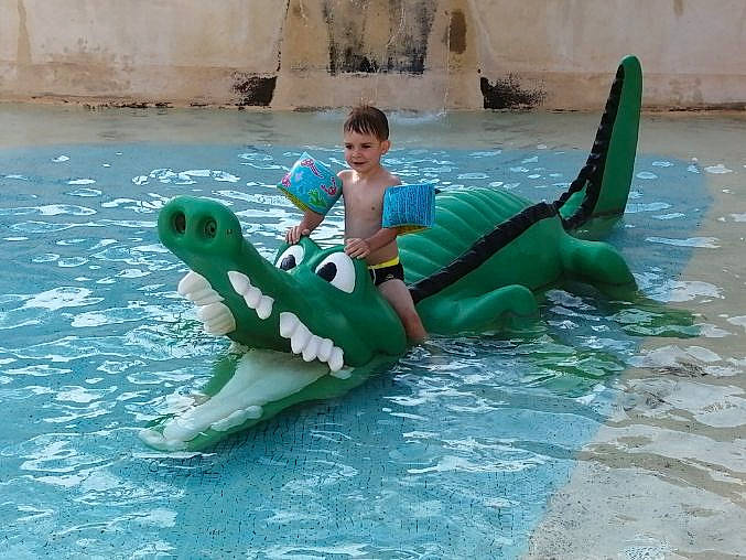 Louis participe au concours pour gagner de l'argent avec cette photo : amusement_park, aqua, cartilaginous_fish, chute, crocodilia, fin, fish, fun, inflatable, leisure, leisure_centre, marine_mammal, nonbuilding_structure, person, recreation, shark, shorts, swimming_pool, swimwear, water