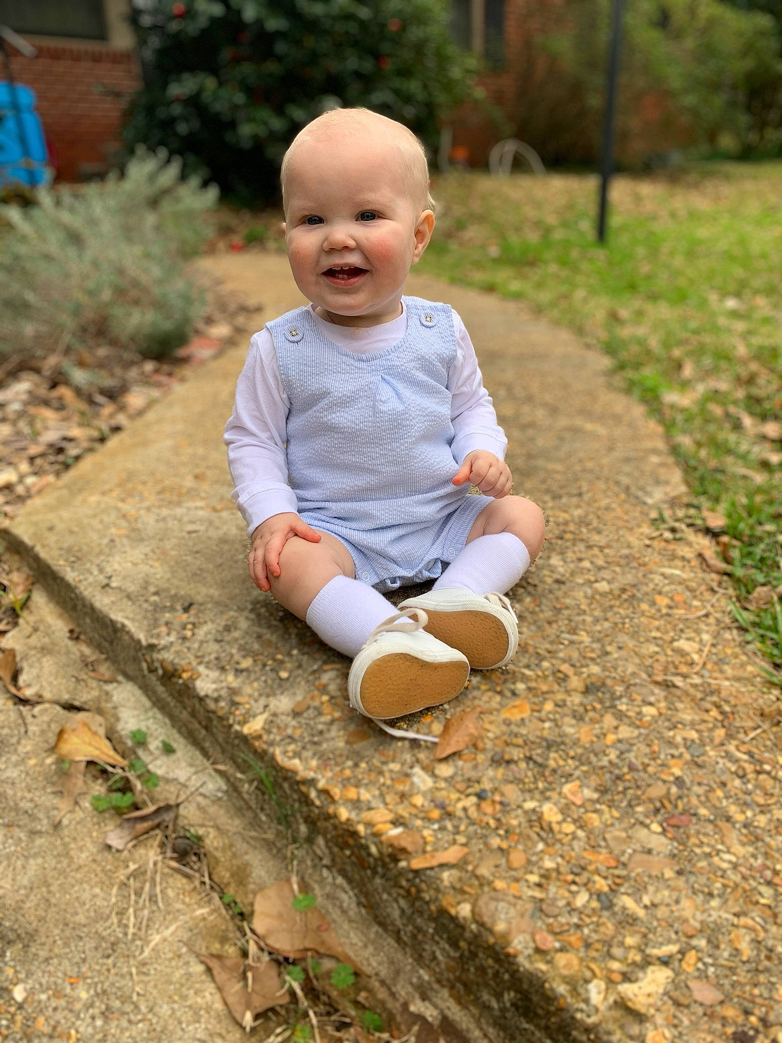Coleson joined the competition — help win amazing prizes! baby, child, grass, leaf, leg, leisure, person, photograph, photography, plant, play, shoe, sitting, smile, soil, toddler, tree, vacation