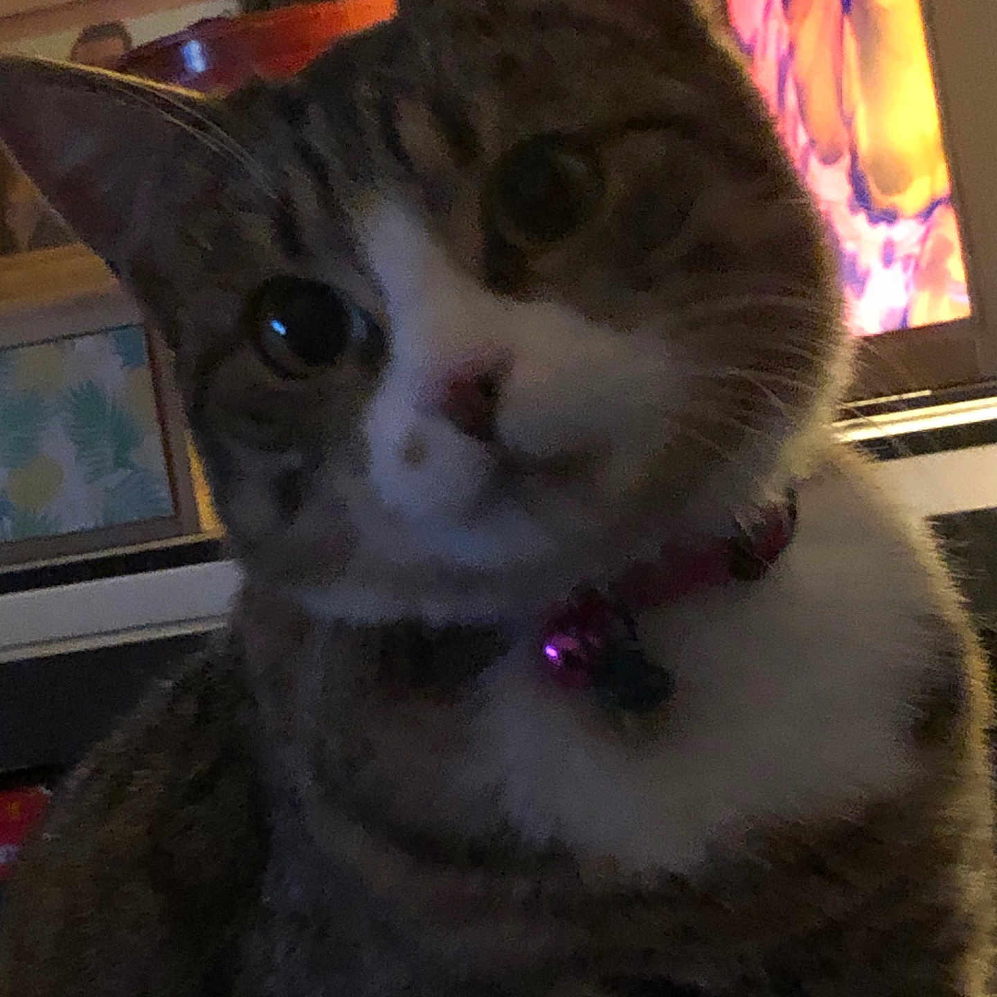 Tixie