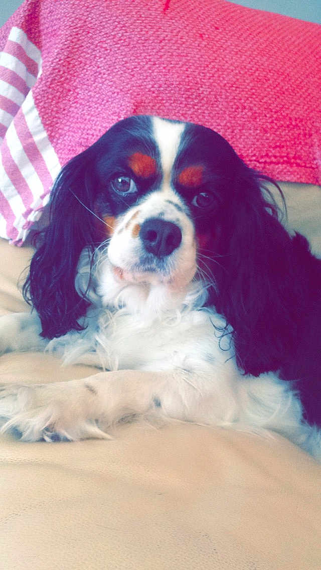 Lady Kelly