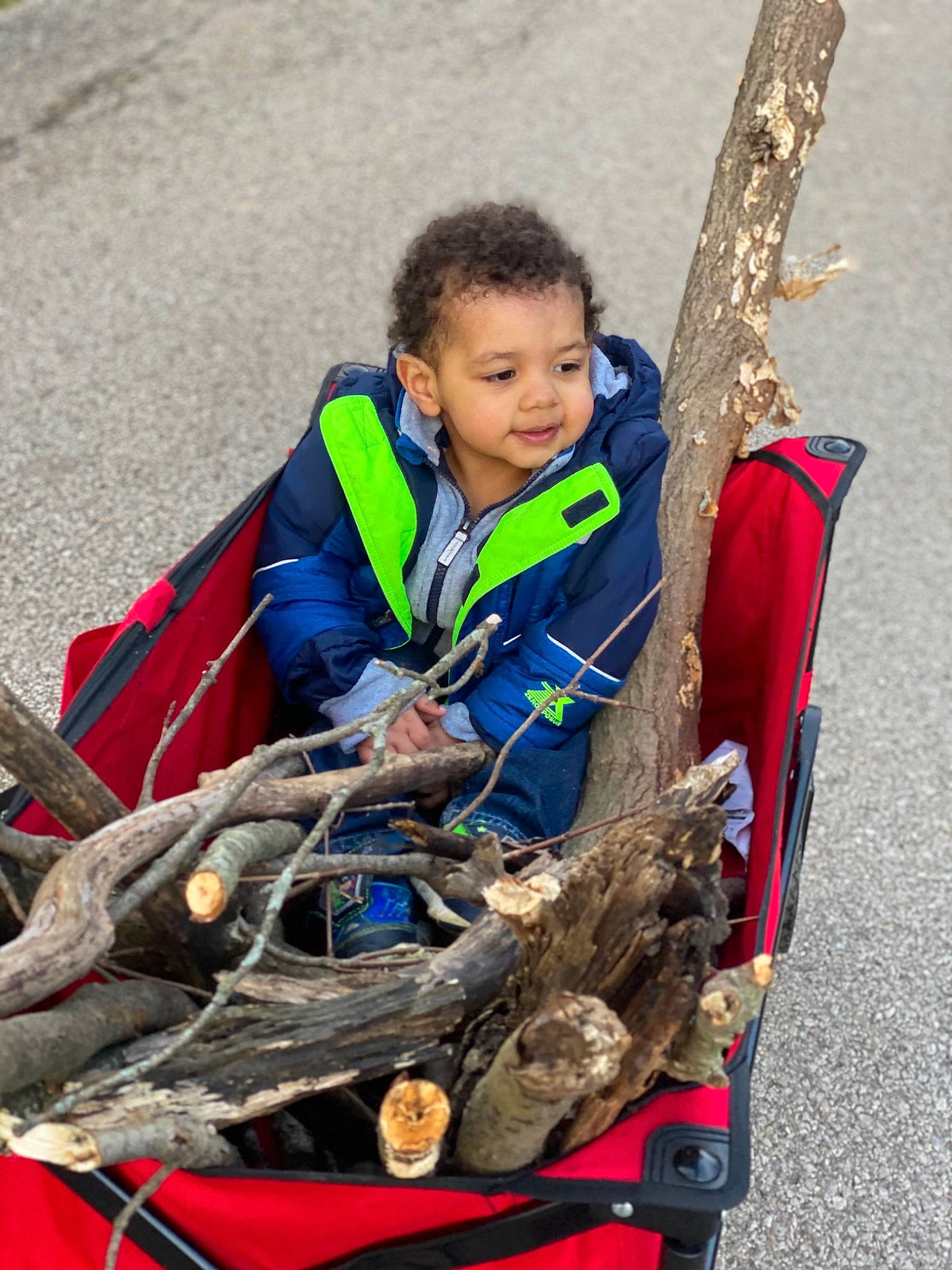 Matthias joined the competition — help win amazing prizes! child, person, plant, play, tree, vehicle